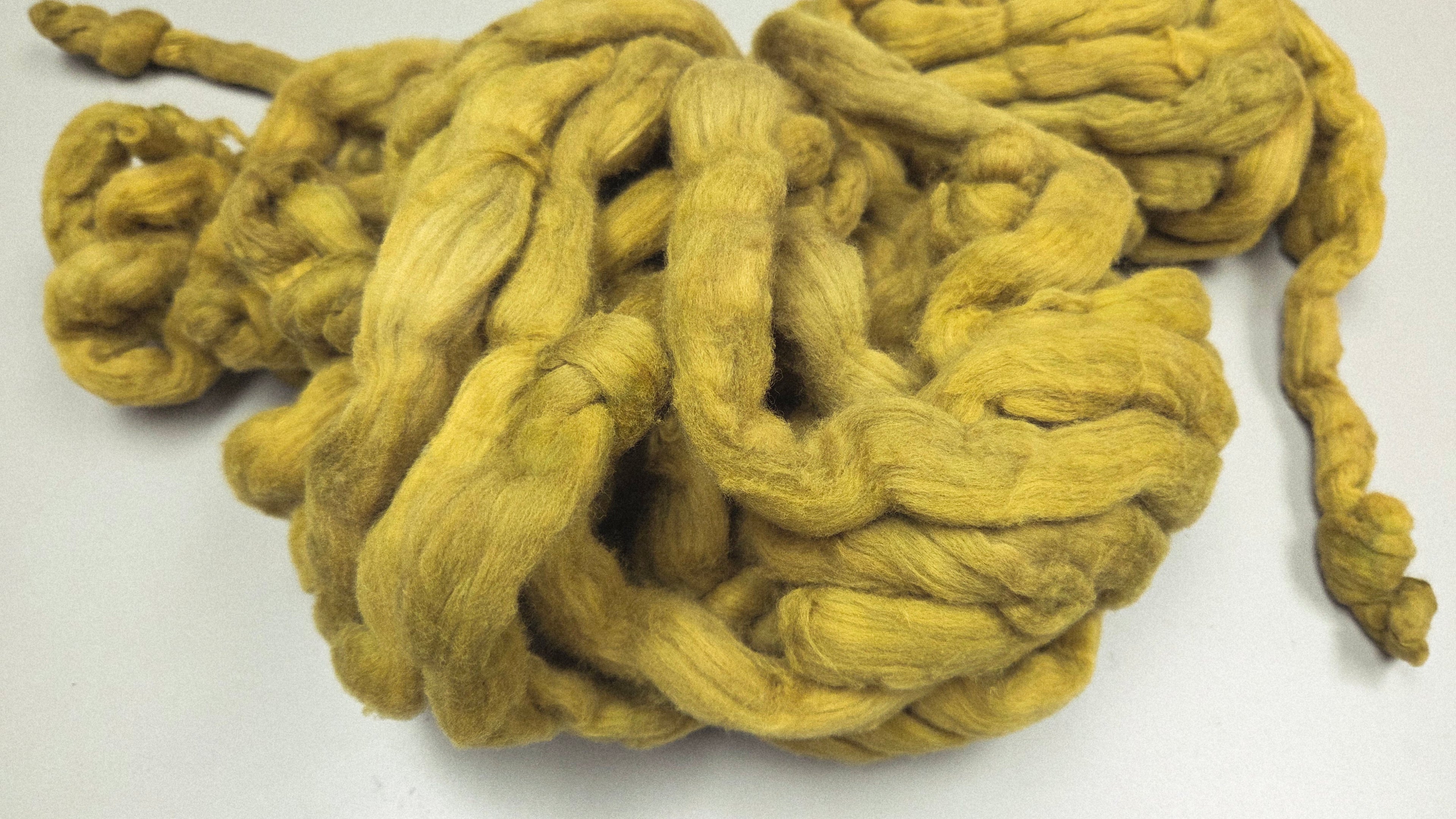 Cotton, 1/2 oz (0.5 ounce) Dyed Conventional Cotton Sliver, Small Batch Studio Dyed (Khaki M)