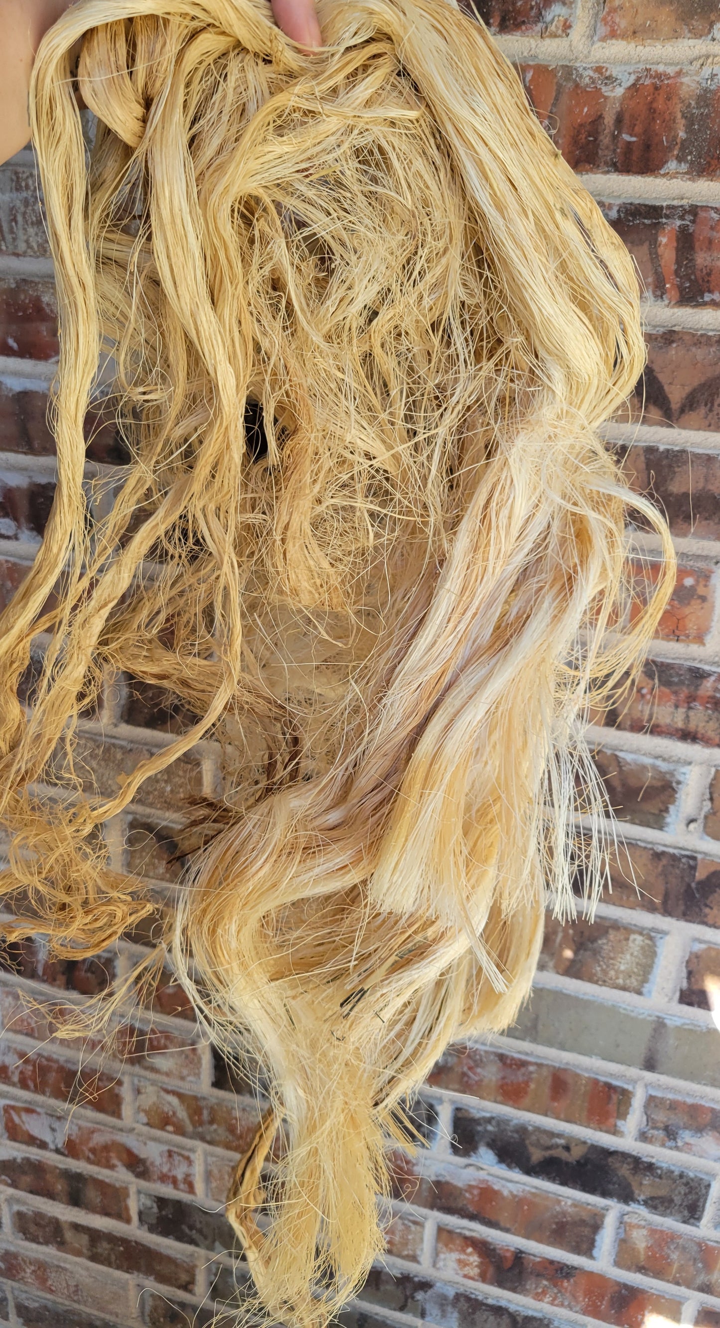 Sisal Long Fiber Bundle. Natural Un-Combed Fiber.