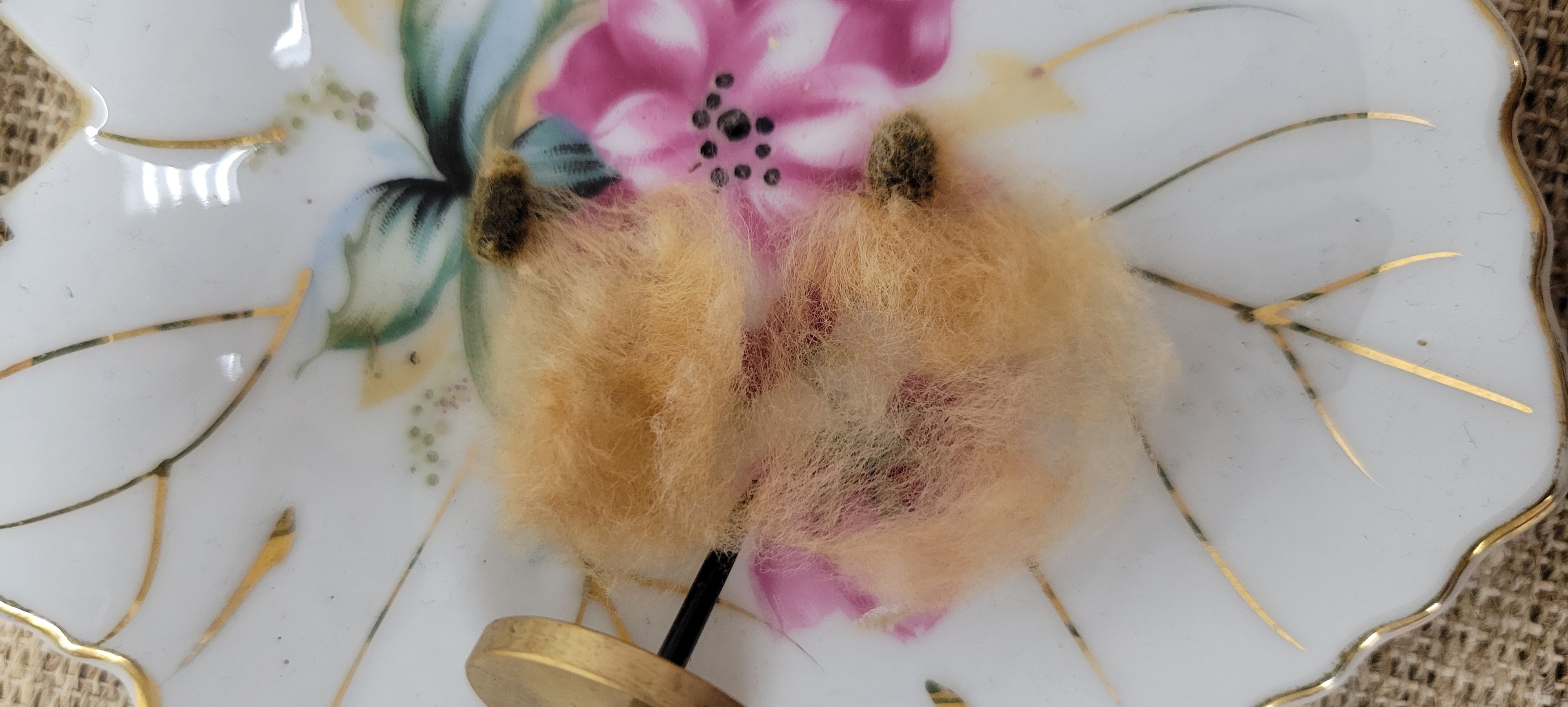 Cotton Natural Brown Seed Cotton. Ginned. HANDPICKED. 1 ounce (oz).