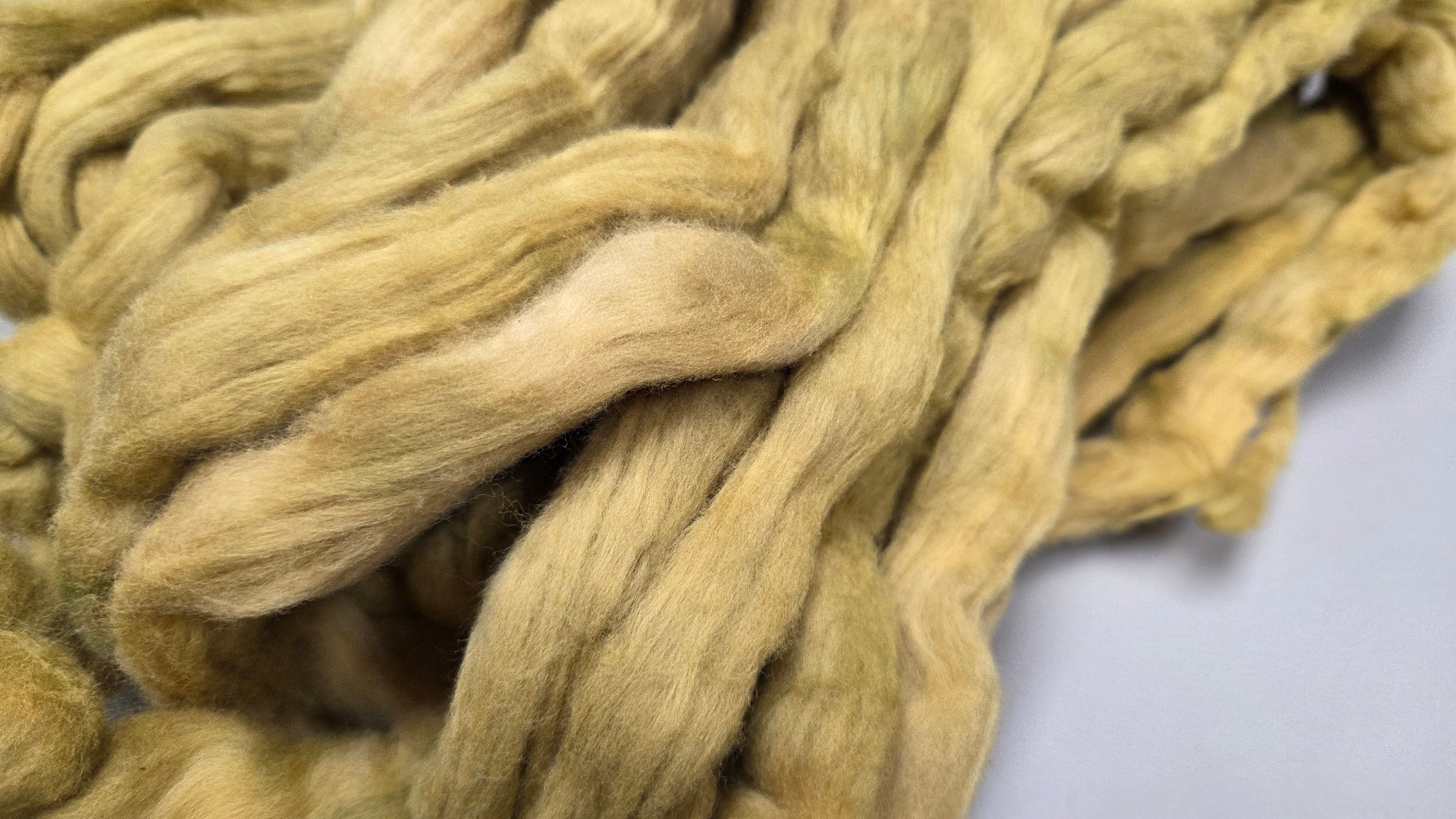Cotton, 1/2 oz (0.5 ounce) Dyed Conventional Cotton Sliver, Small Batch Studio Dyed (Khaki M2)
