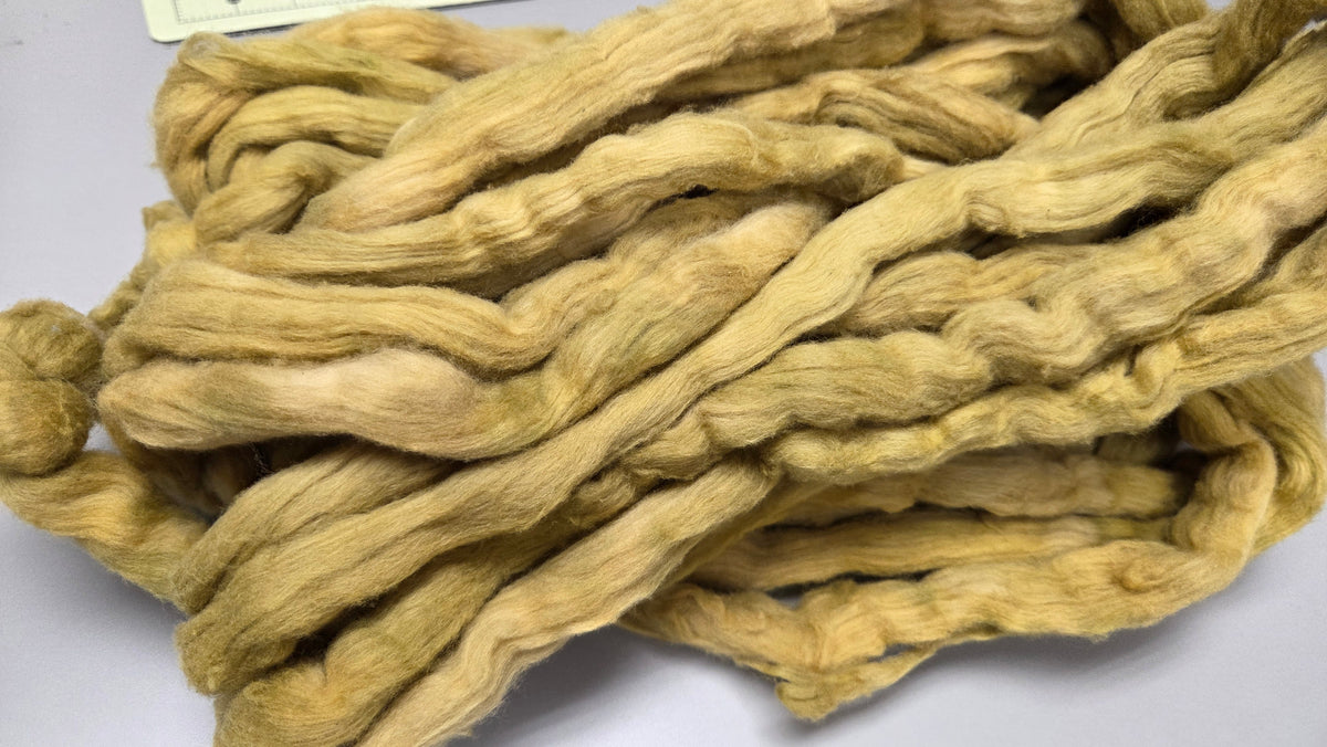 Cotton, 1/2 oz (0.5 ounce) Dyed Conventional Cotton Sliver, Small Batch Studio Dyed (Khaki M2)