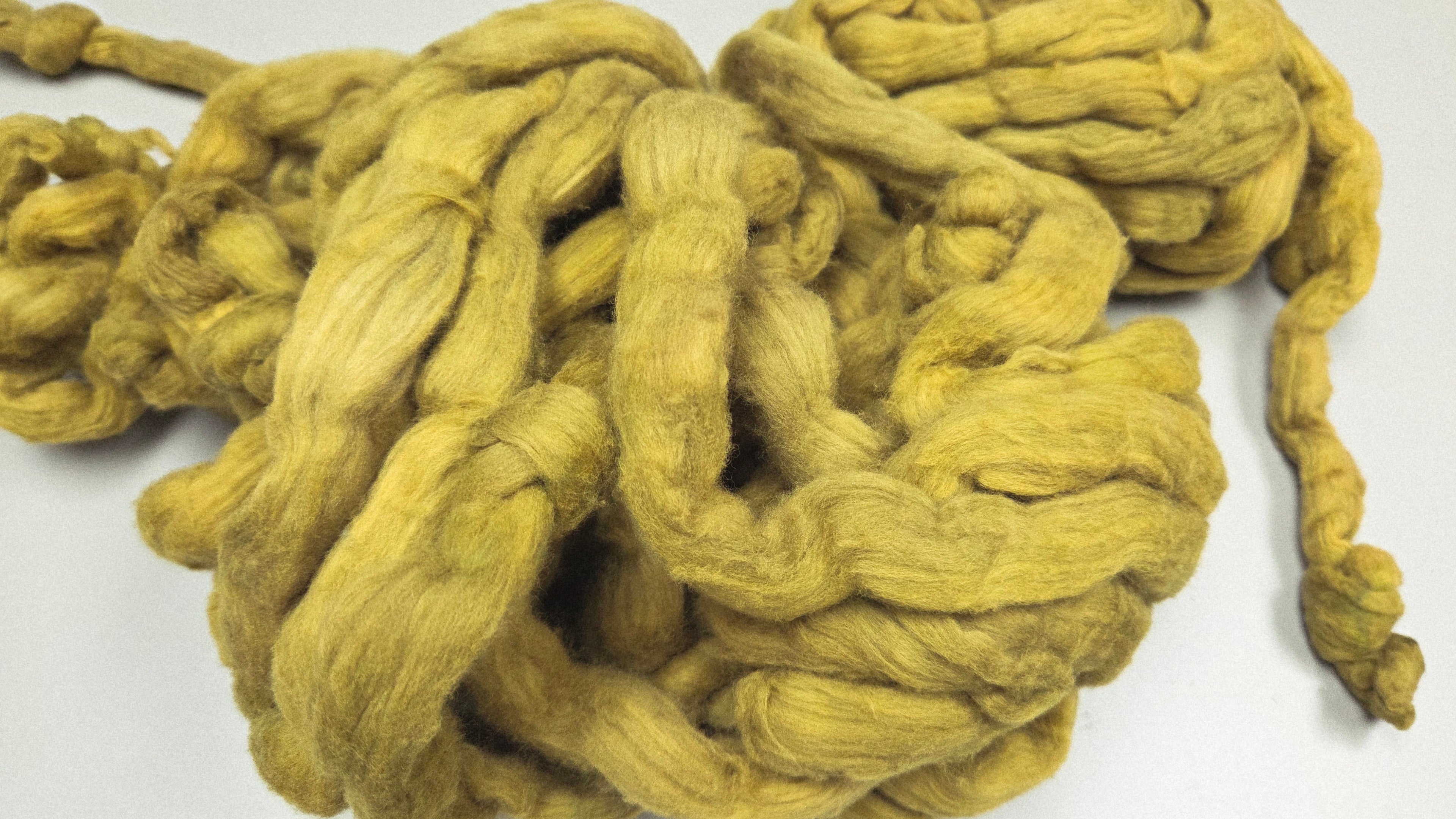 Cotton, 1/2 oz (0.5 ounce) Dyed Conventional Cotton Sliver, Small Batch Studio Dyed (Khaki M)
