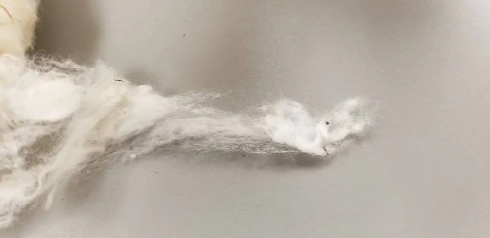 Cotton Fiber Ginned USA (Texas) Certified Organic (Not Combed)