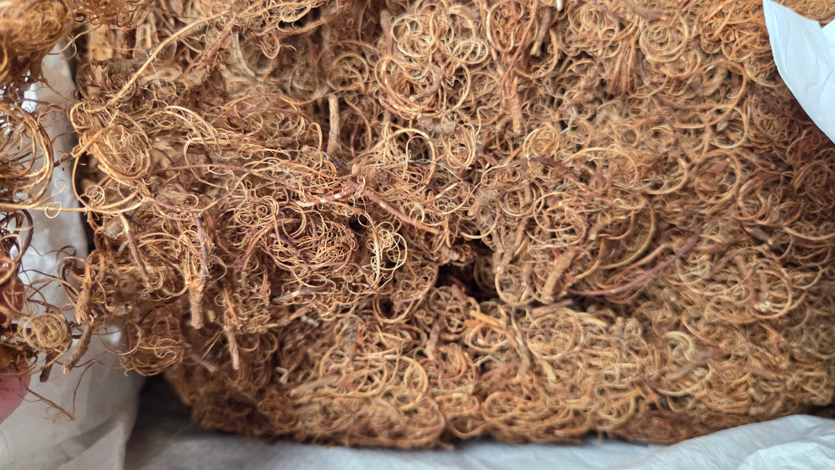 Tamarind Stalk Fiber. Un-Combed. Raw Unfinished Textile Bundle.