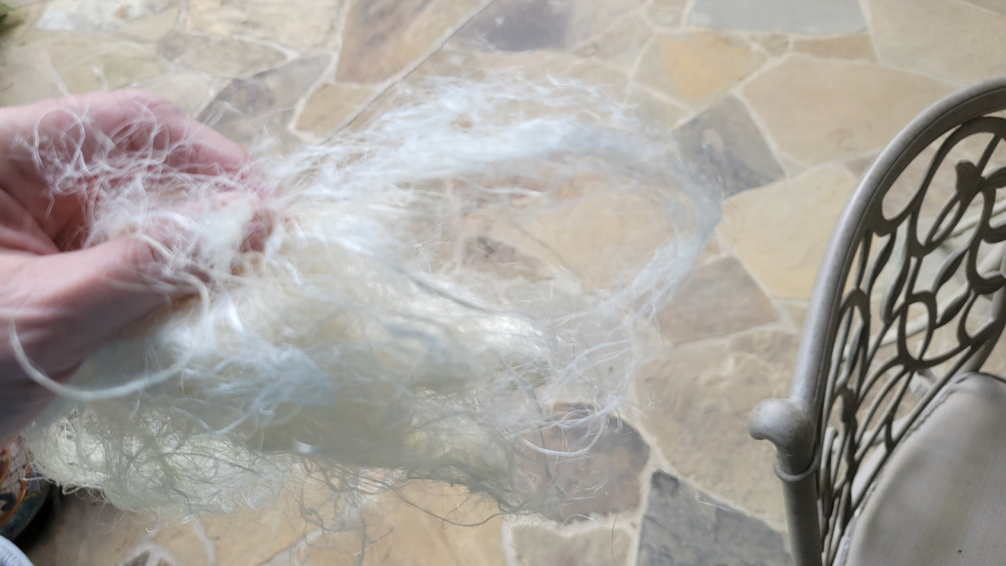 Milkweed Stalk Fiber. Un-Combed. Raw Unfinished Bundles