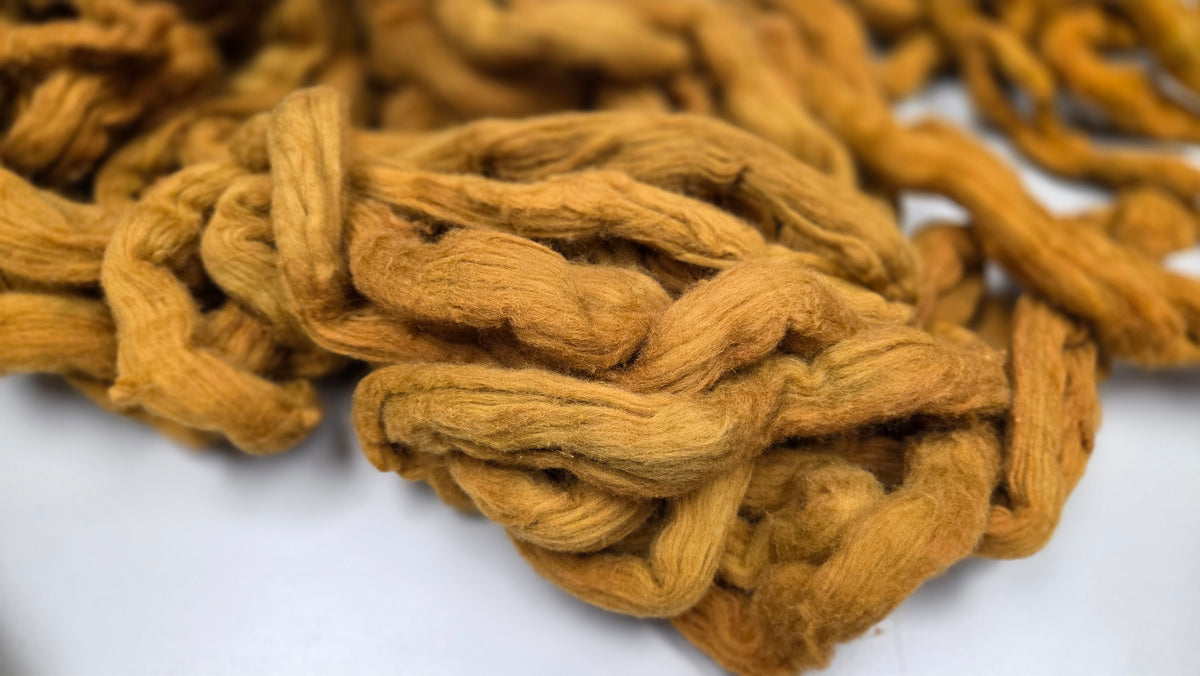 Cotton, 1/2 oz (0.5 ounce) Dyed Conventional Cotton Sliver, Small Batch Studio Dyed (Bronze DD)