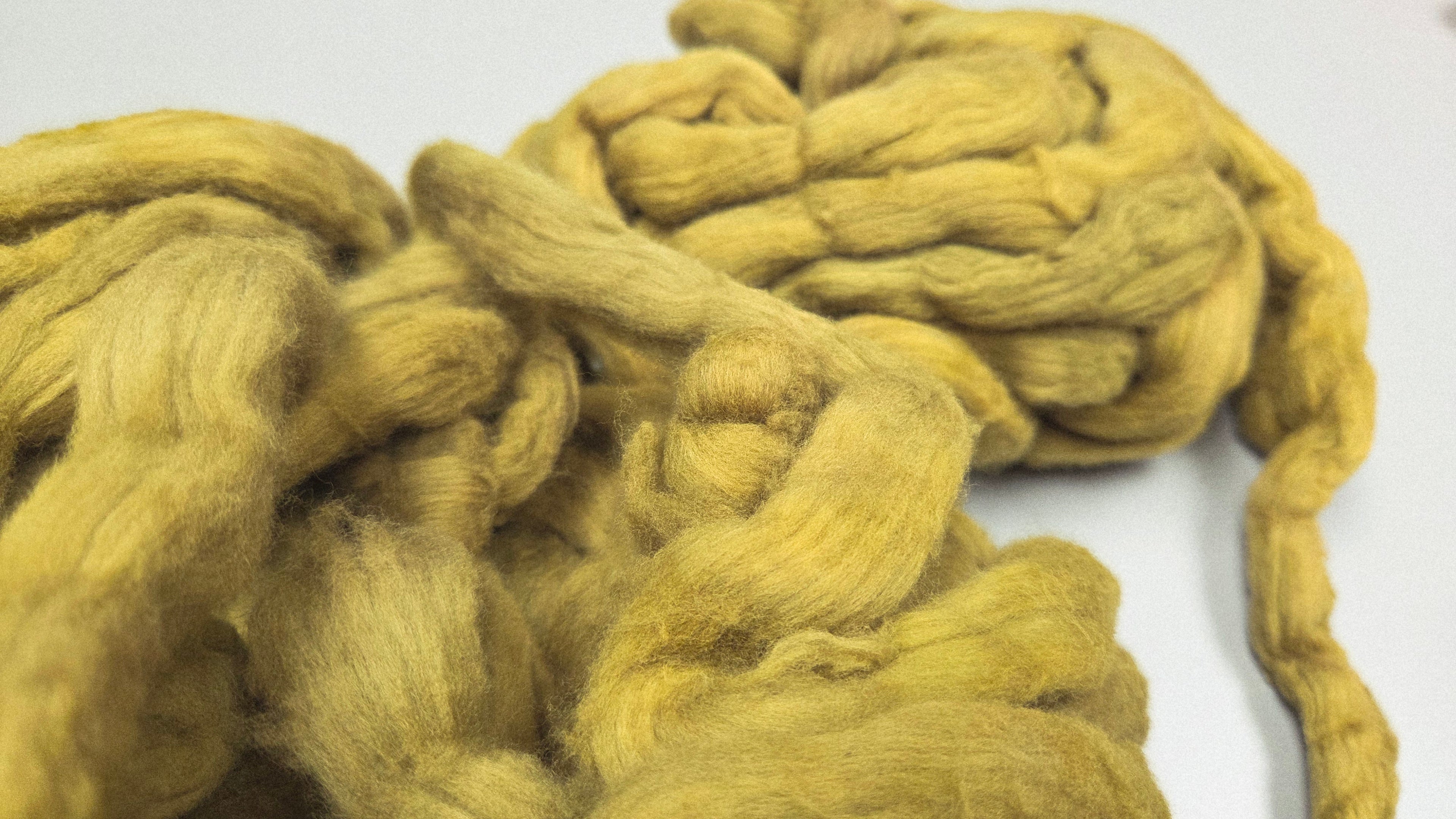 Cotton, 1/2 oz (0.5 ounce) Dyed Conventional Cotton Sliver, Small Batch Studio Dyed (Khaki M)