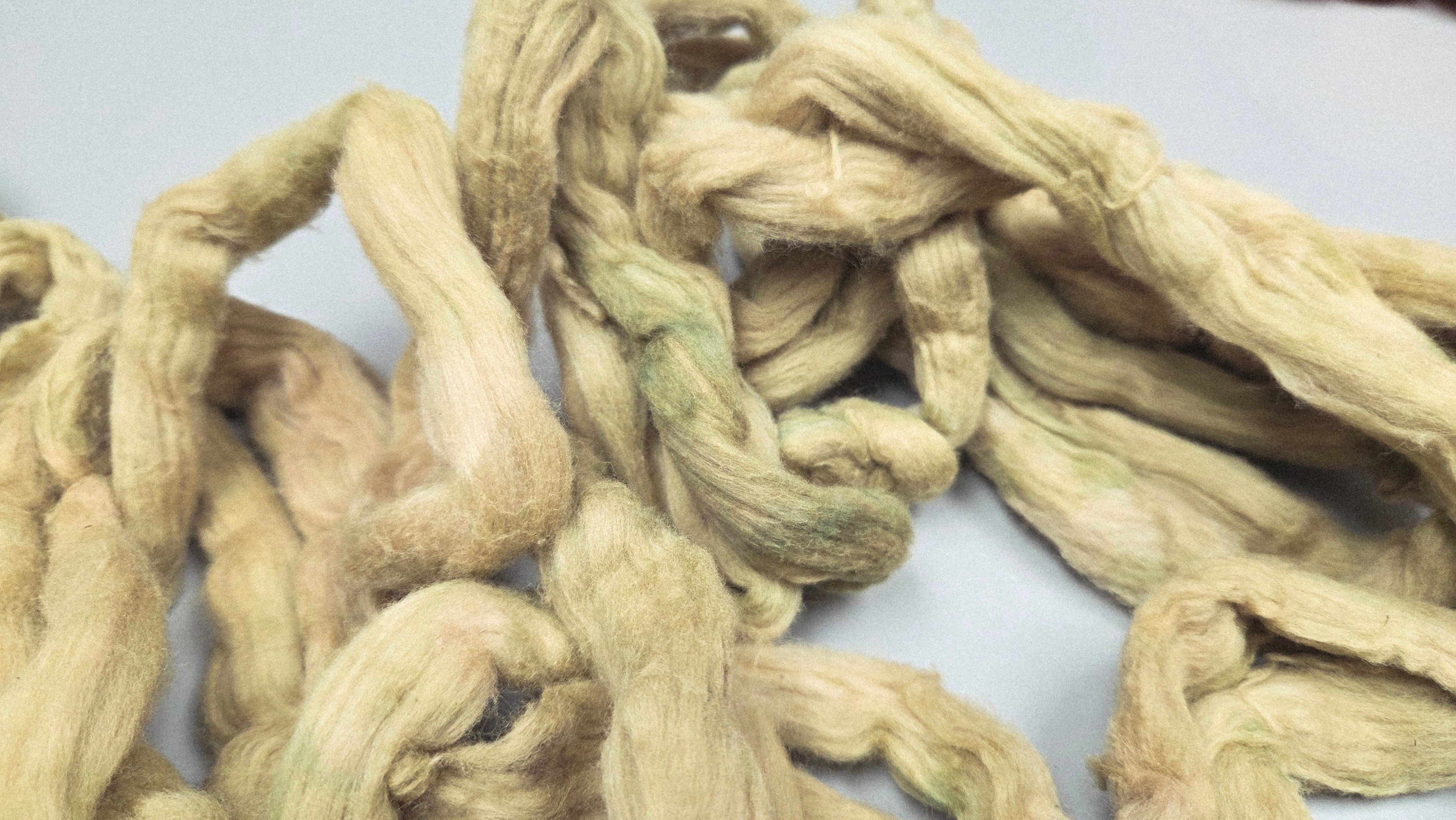 Cotton, 1/2 oz (0.5 ounce) Dyed Conventional Cotton Sliver, Small Batch Studio Dyed (Khaki L)