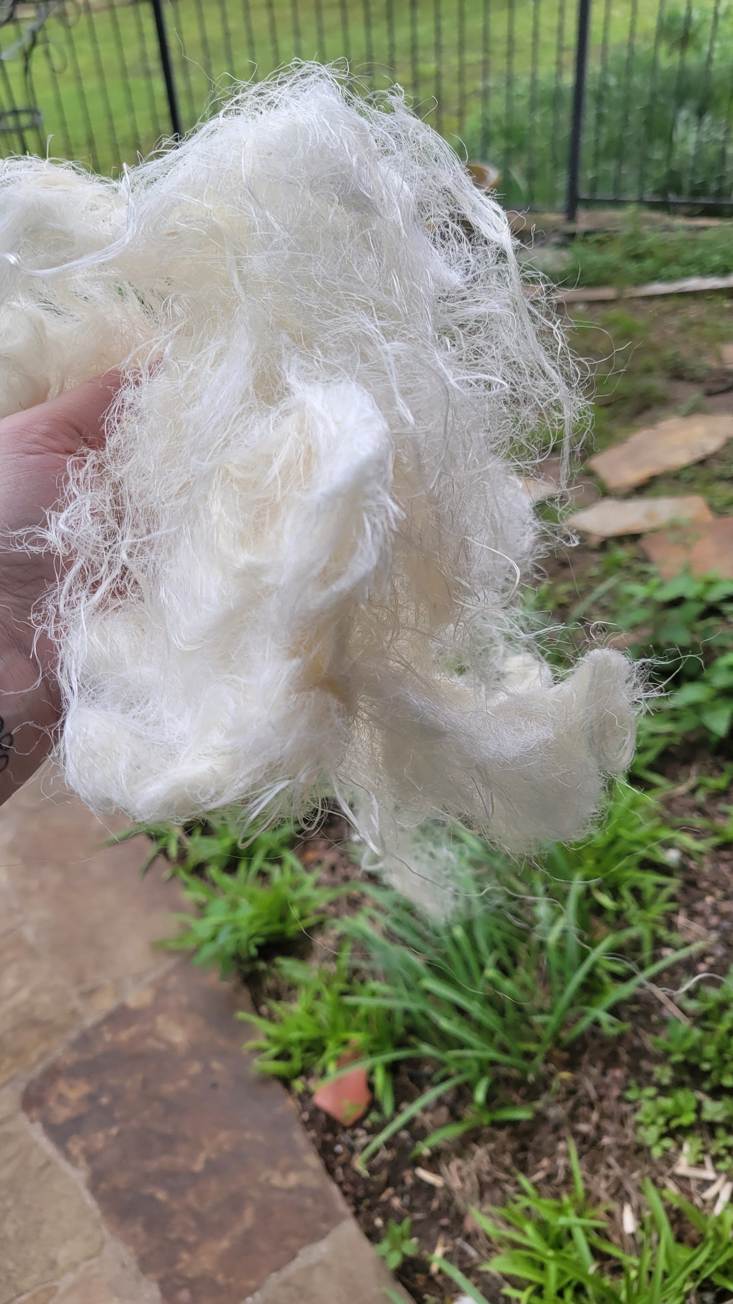 Milkweed Stalk Fiber. Un-Combed. Raw Unfinished Bundles