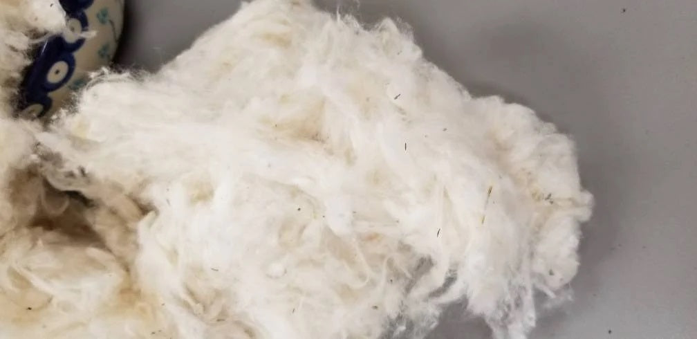 Cotton Fiber Ginned USA (Texas) Certified Organic (Not Combed)