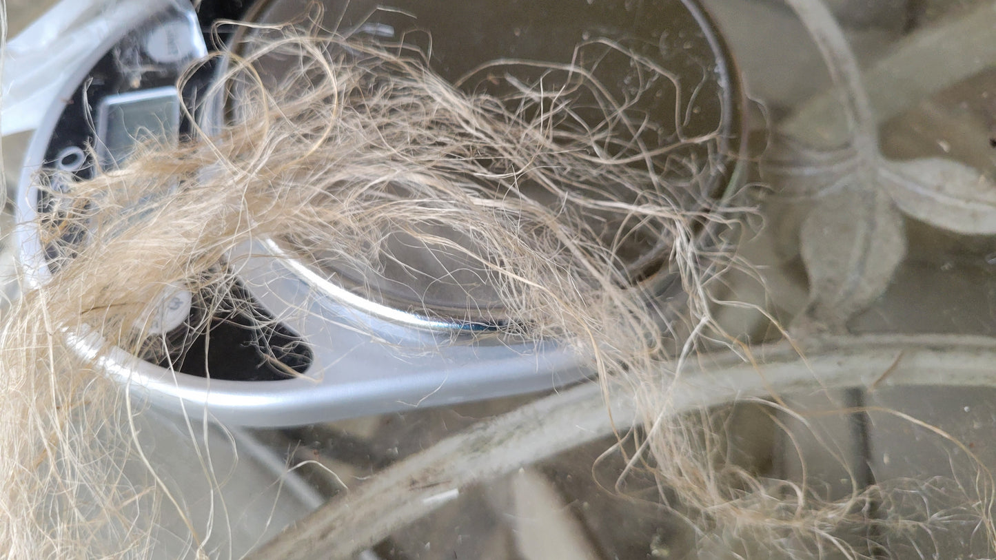 Sunflower Stalk Fiber. Un-Combed. Raw Unfinished Bundles