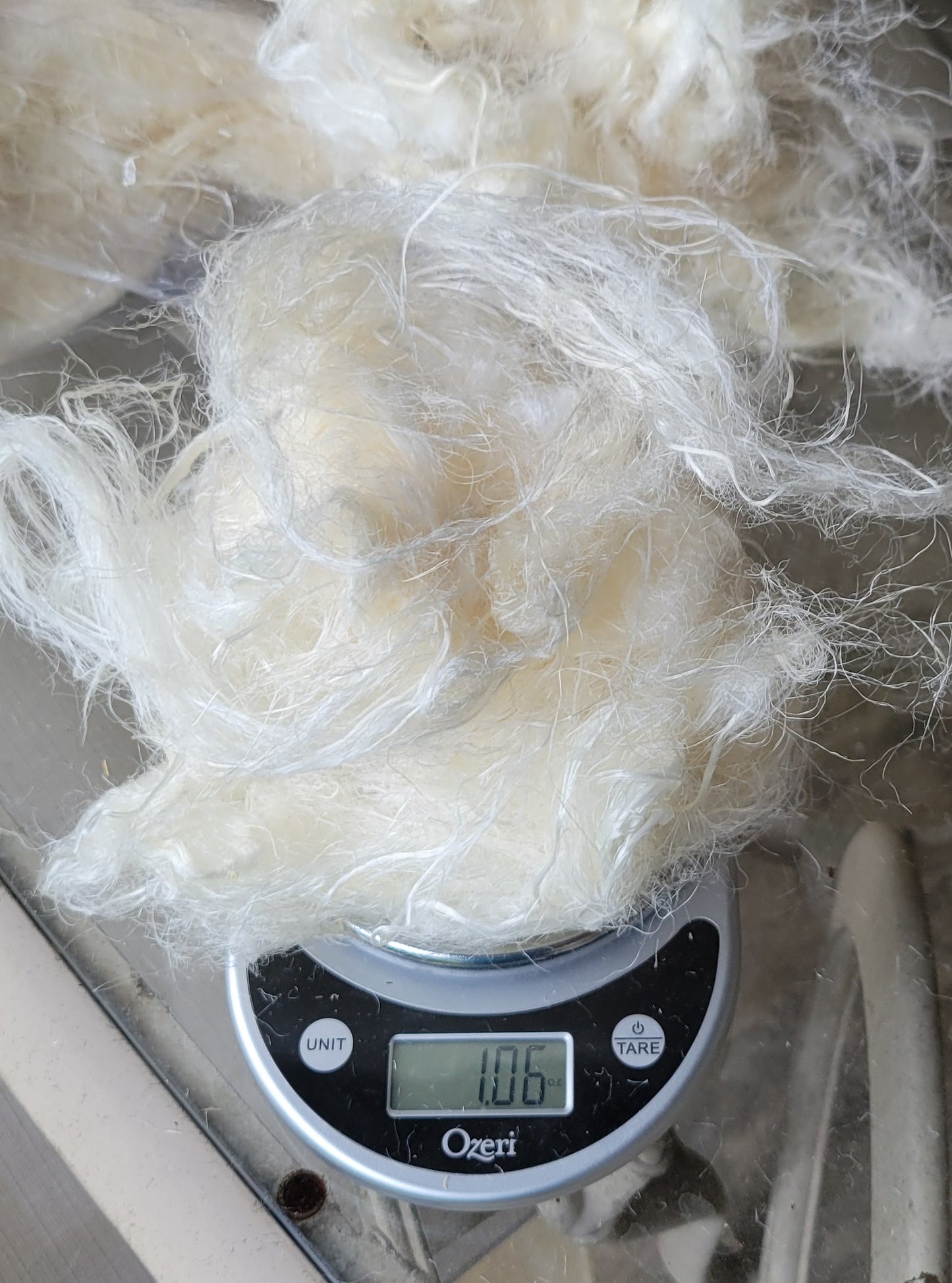 Milkweed Stalk Fiber. Un-Combed. Raw Unfinished Bundles