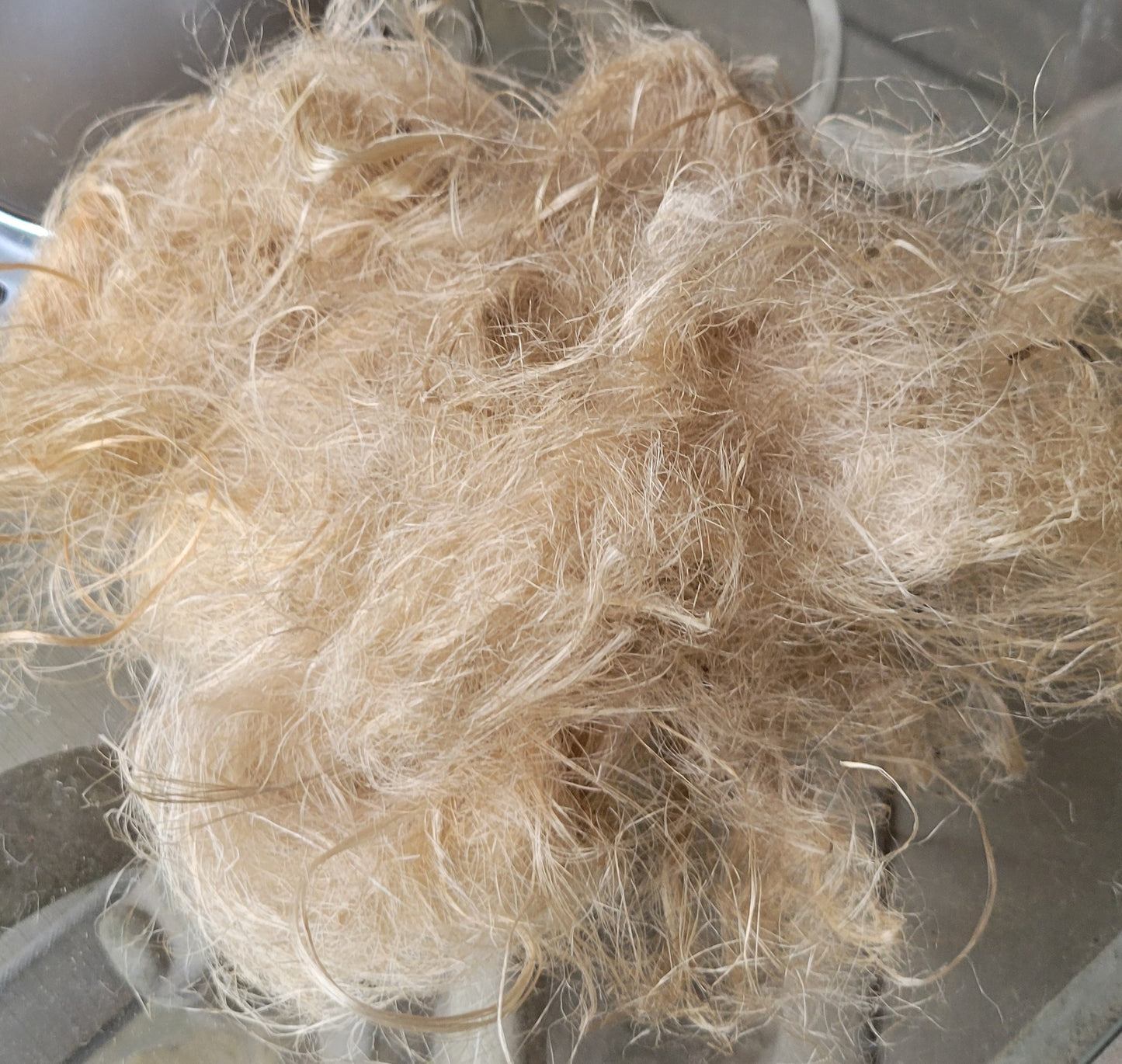 Sunflower Stalk Fiber. Un-Combed. Raw Unfinished Bundles