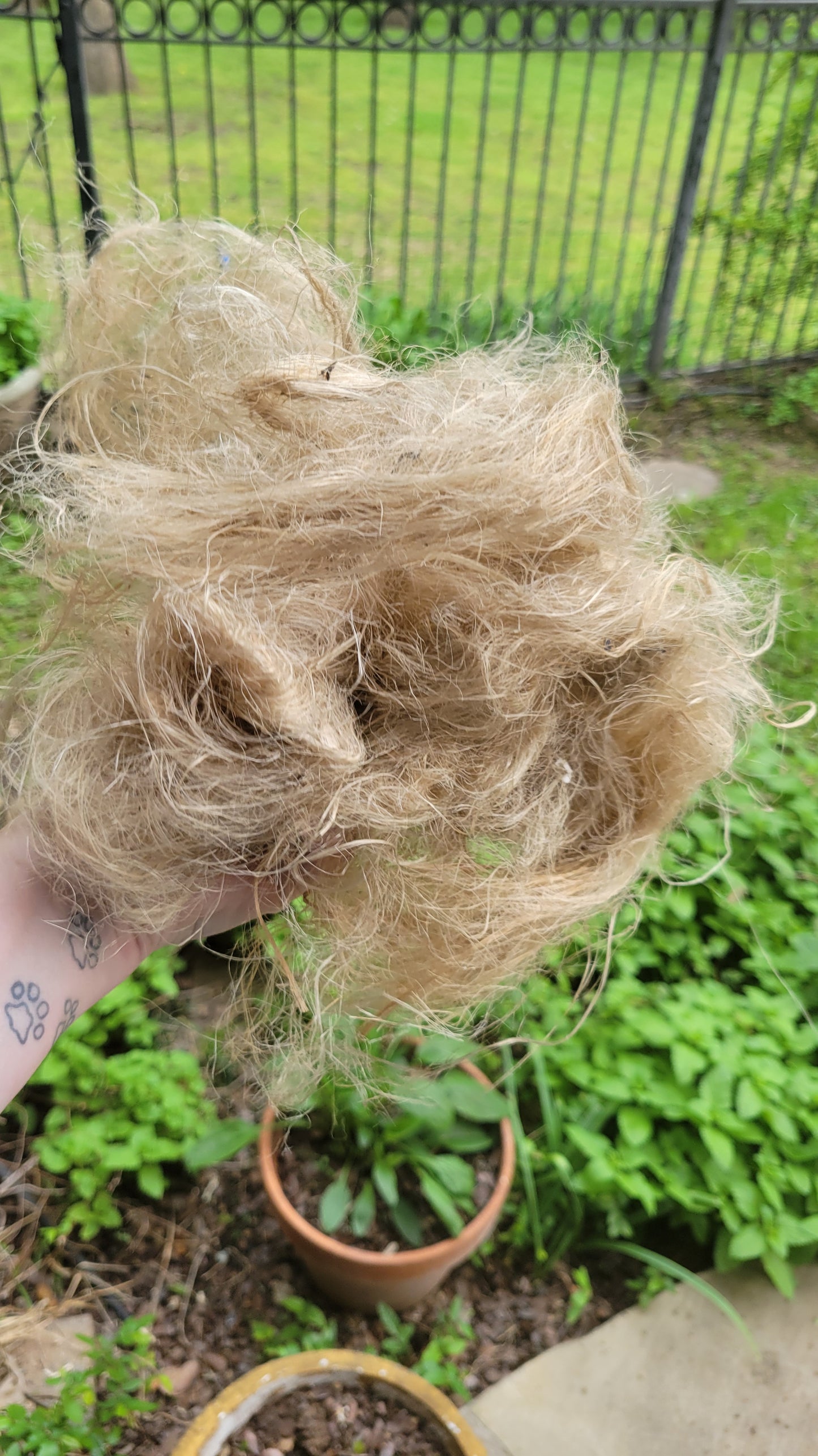 Sunflower Stalk Fiber. Un-Combed. Raw Unfinished Bundles
