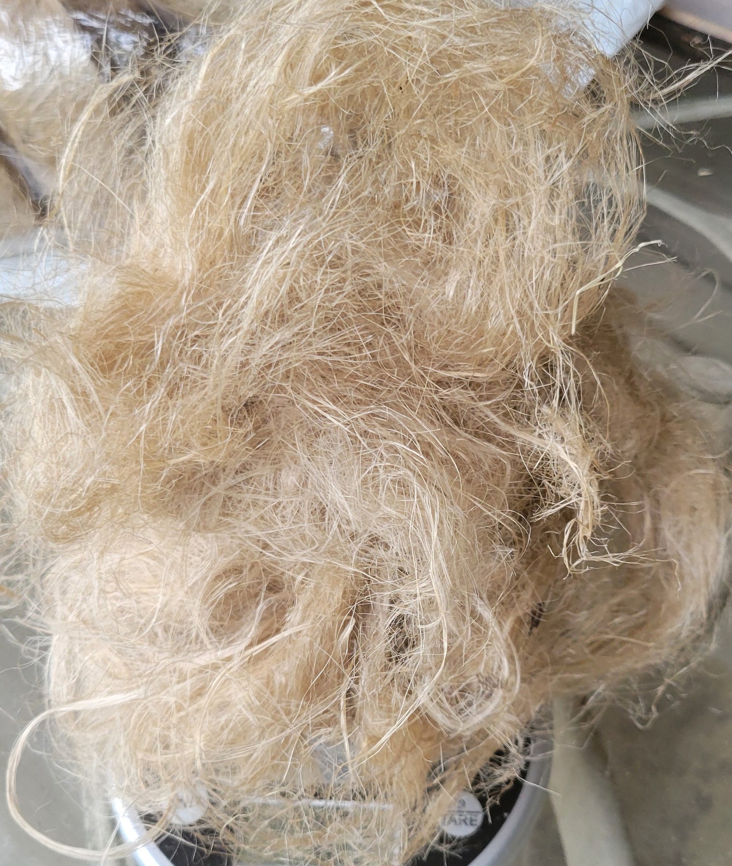 Sunflower Stalk Fiber. Un-Combed. Raw Unfinished Bundles