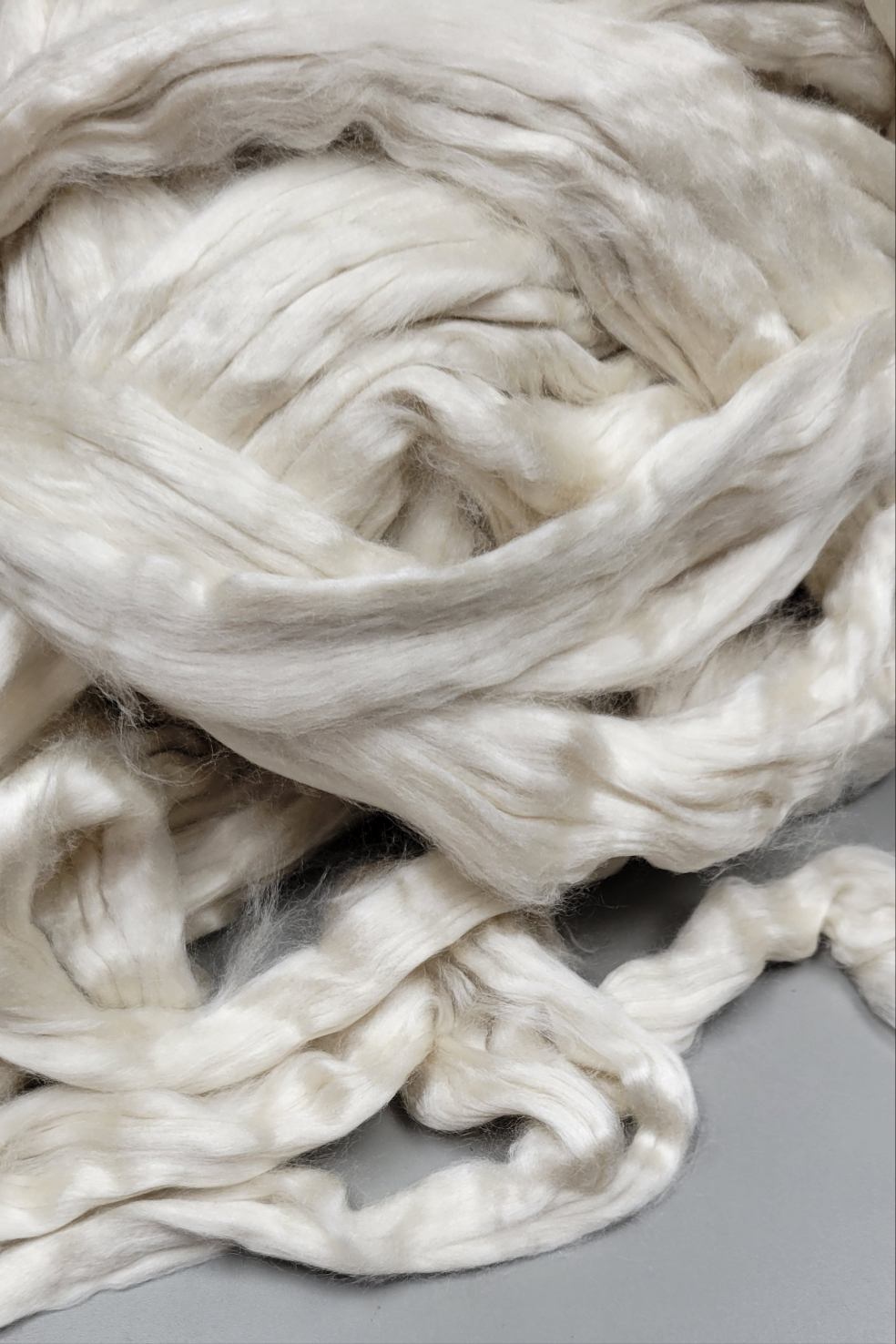 Dandelion Fiber (RCFs). 1 ounce. Combed Sliver.