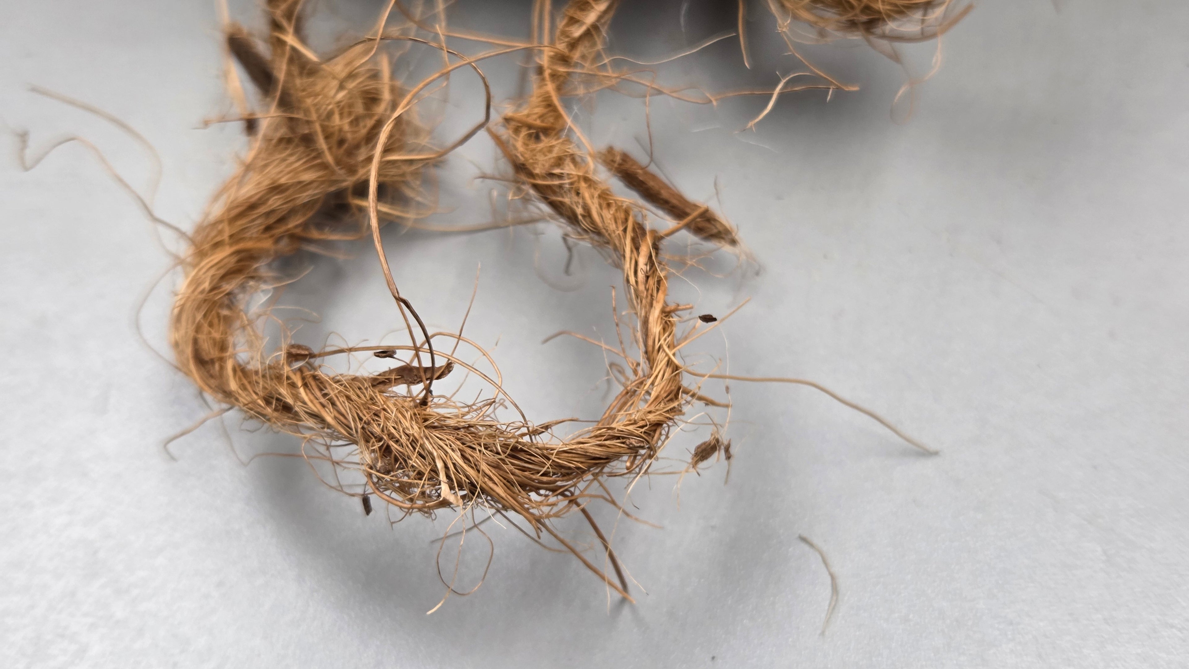 Coconut Yarn Cordage Handspun Single Natural. 18 Yards