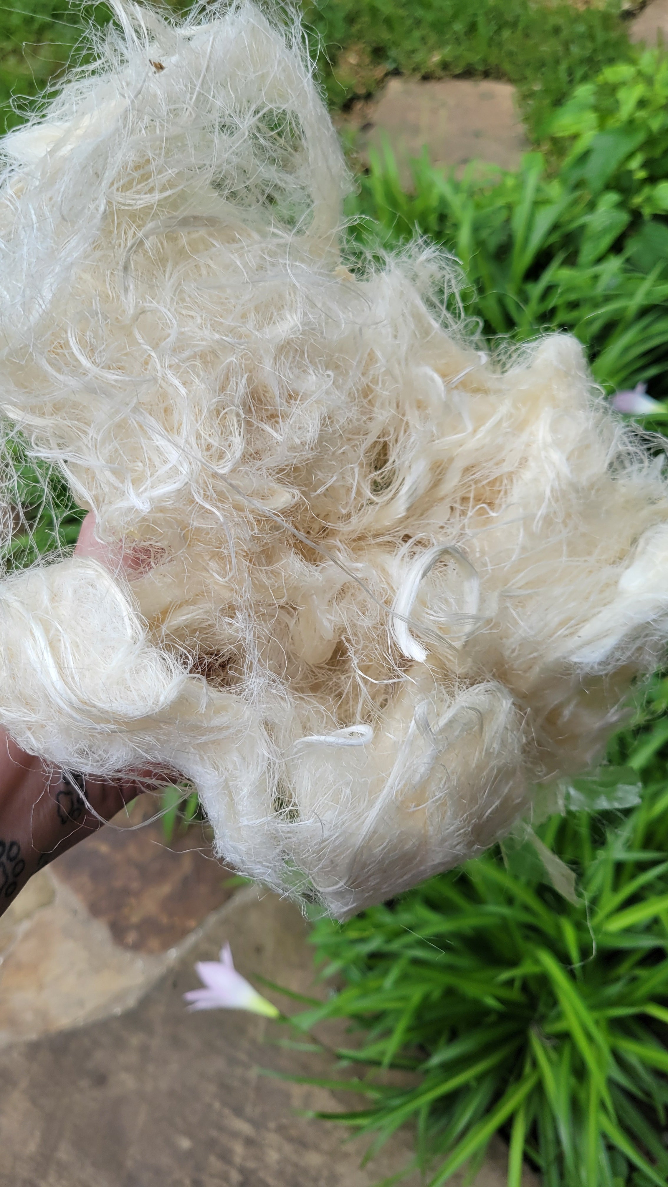 Corn Fiber Bundle. Natural Un-Combed Fiber. Raw.
