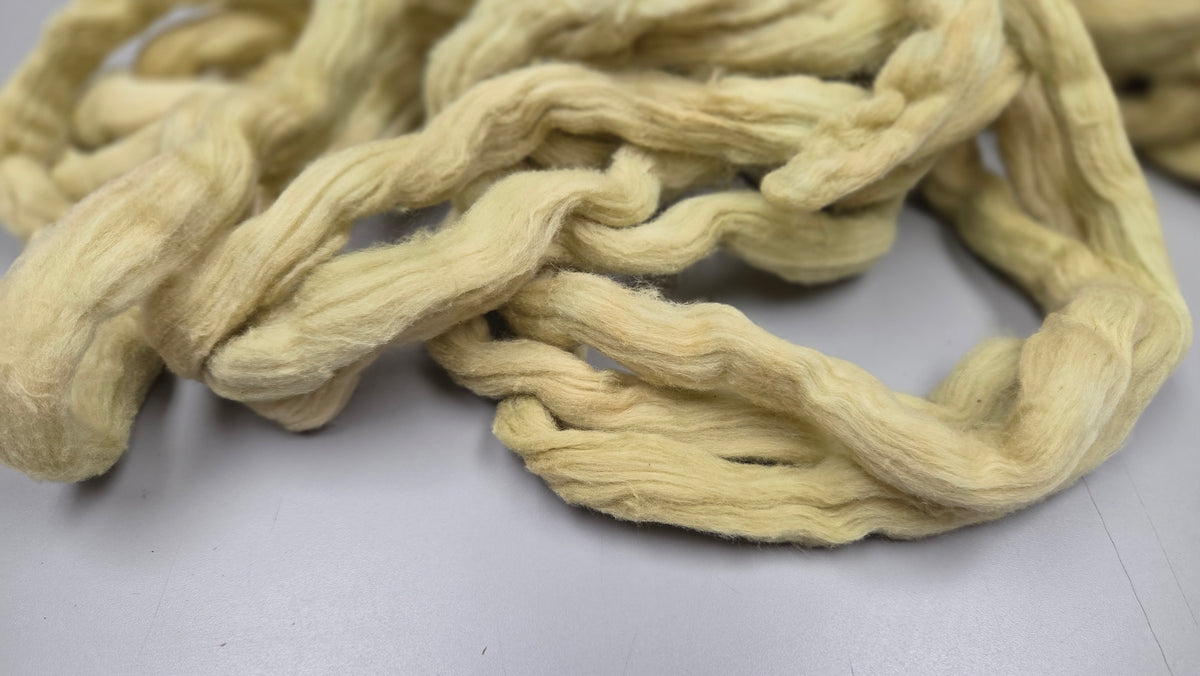 Cotton, 1/2 oz (0.5 ounce) Dyed Conventional Cotton Sliver, Small Batch Studio Dyed (Bronze L)