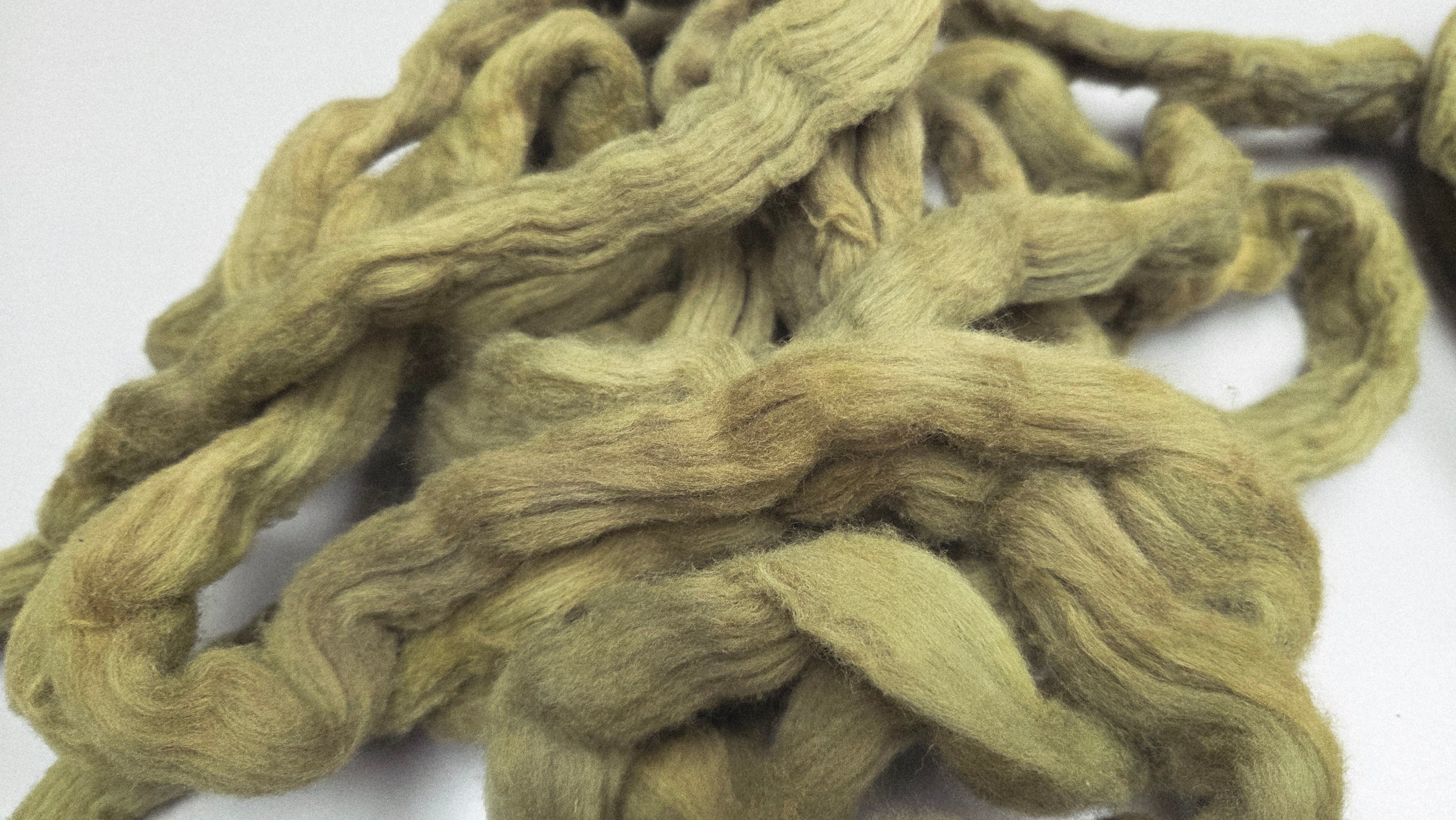 Cotton, 1/2 oz (0.5 ounce) Dyed Conventional Cotton Sliver, Small Batch Studio Dyed (Khaki D)