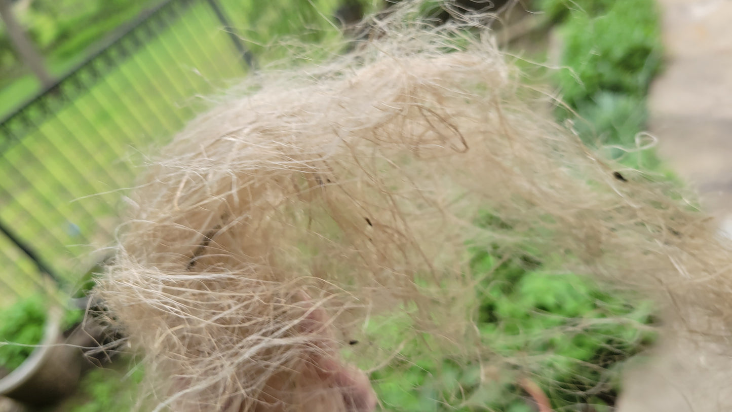Sunflower Stalk Fiber. Un-Combed. Raw Unfinished Bundles