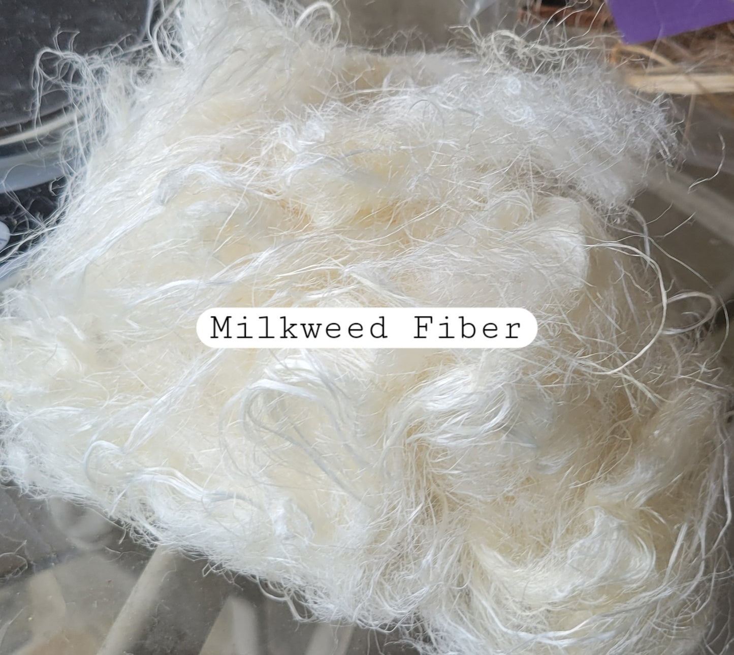 Milkweed Stalk Fiber. Un-Combed. Raw Unfinished Bundles