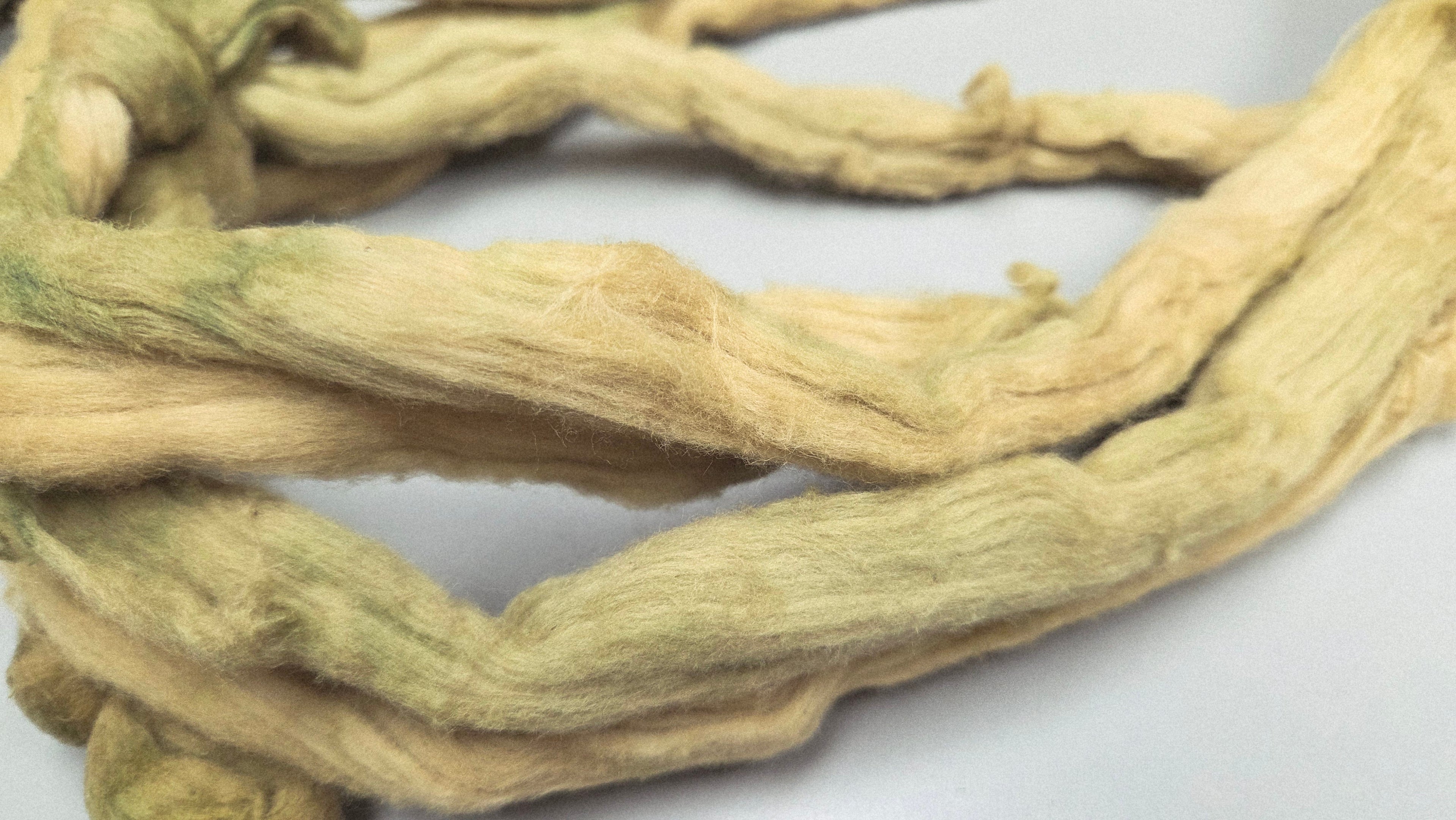 Cotton, 1/2 oz (0.5 ounce) Dyed Conventional Cotton Sliver, Small Batch Studio Dyed (Khaki L)