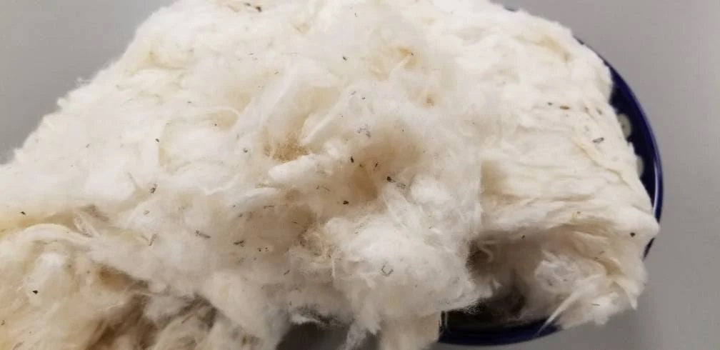 Cotton Fiber Ginned USA (Texas) Certified Organic (Not Combed)