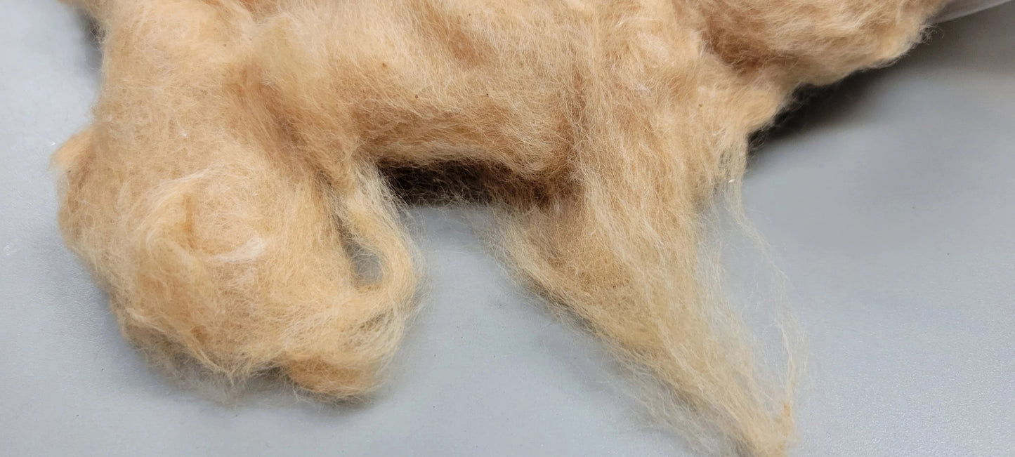 Brown Cotton Fiber, Semi-Combed, Natural Brown Color.