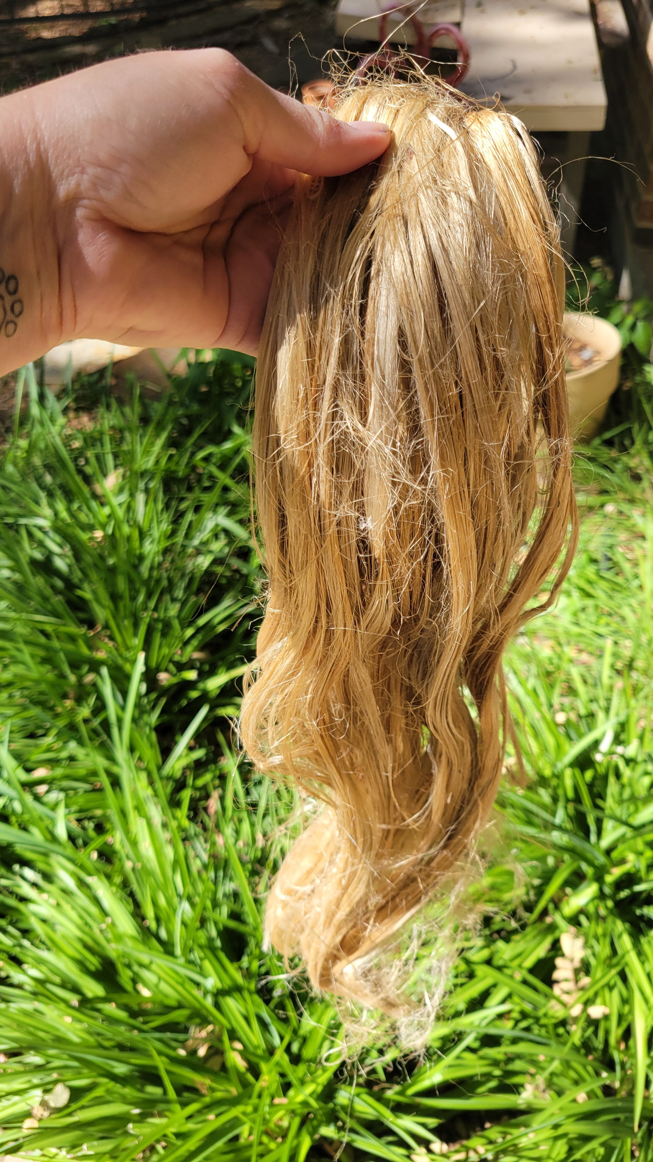 Dogbane Long Fiber Bundle. Natural Semi-Combed Fiber.