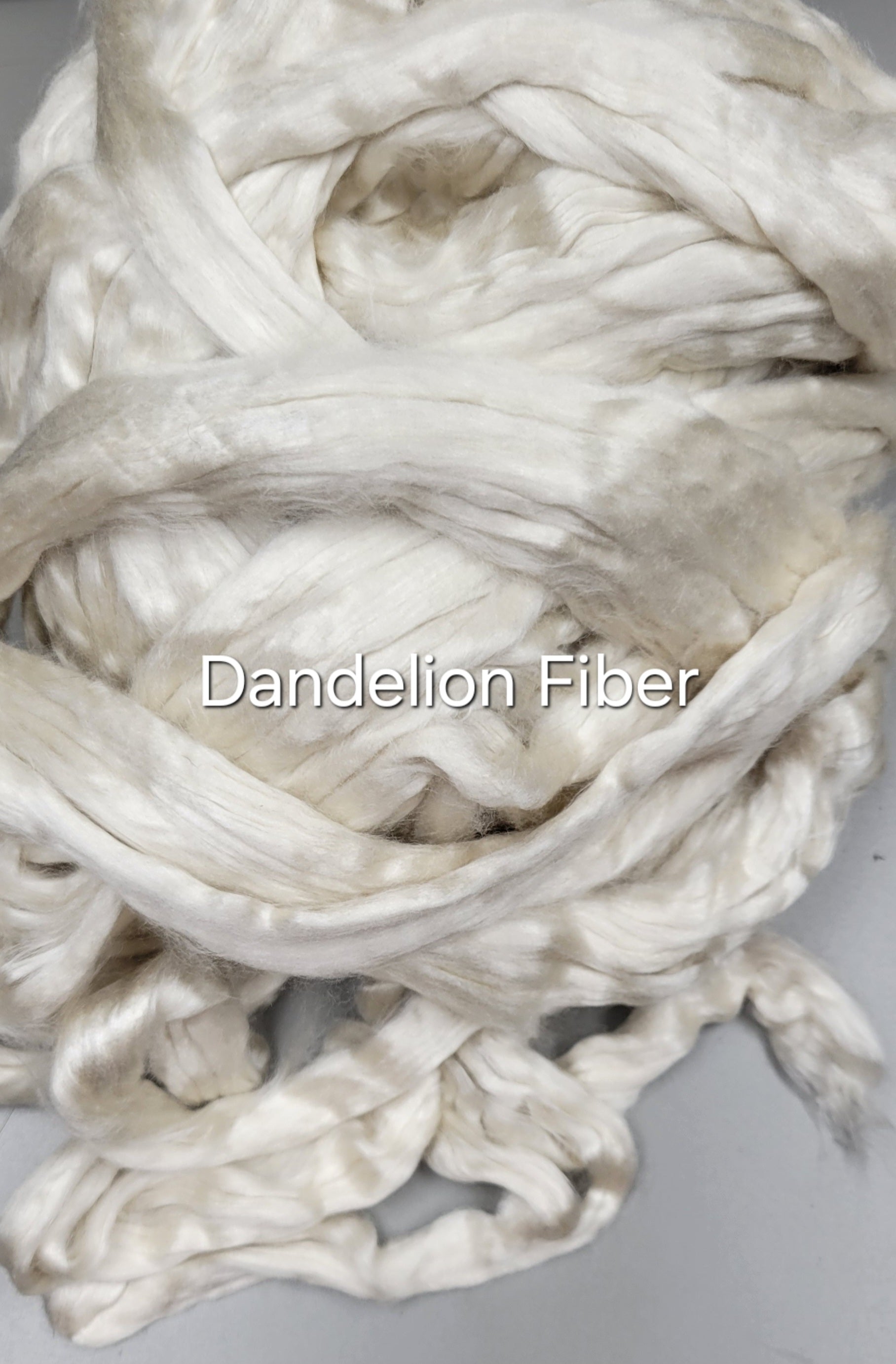 Dandelion Fiber (RCFs). 1 ounce. Combed Sliver.