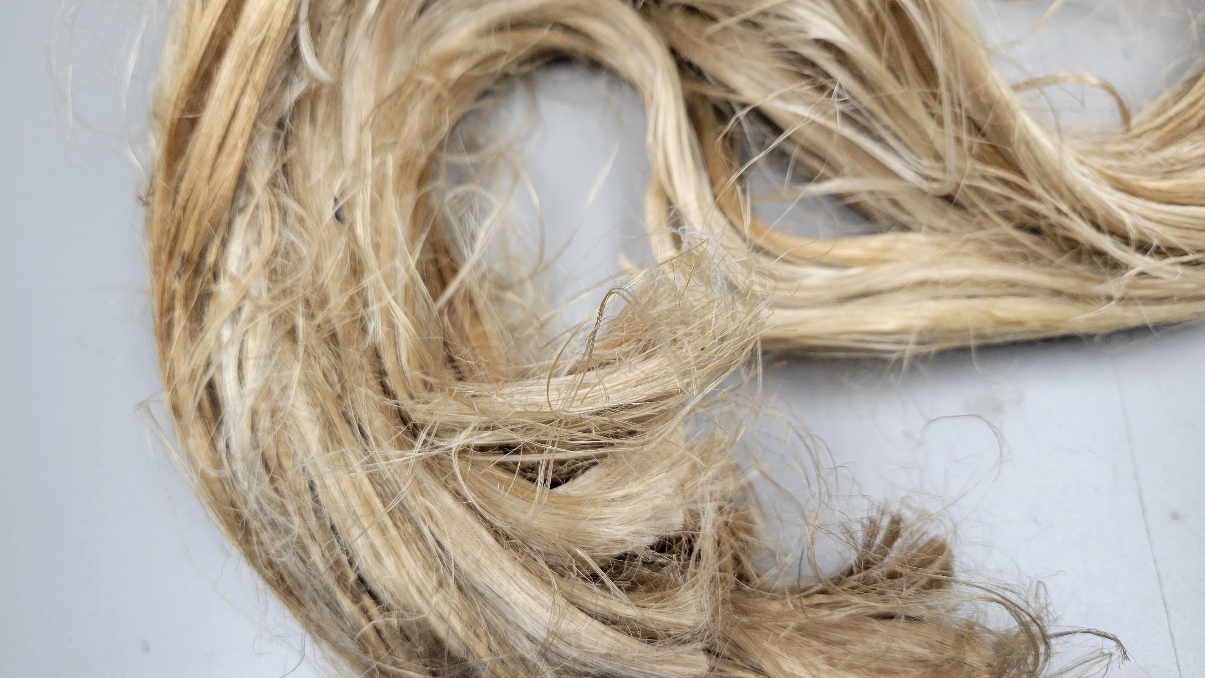 Dogbane Long Fiber Bundle. Natural Semi-Combed Fiber.