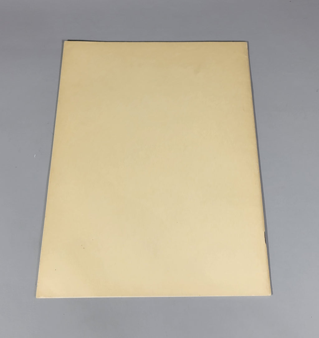 Ribbon & Fabric Trimmings 411 Original Woman's Institute Sewing Book 1920s