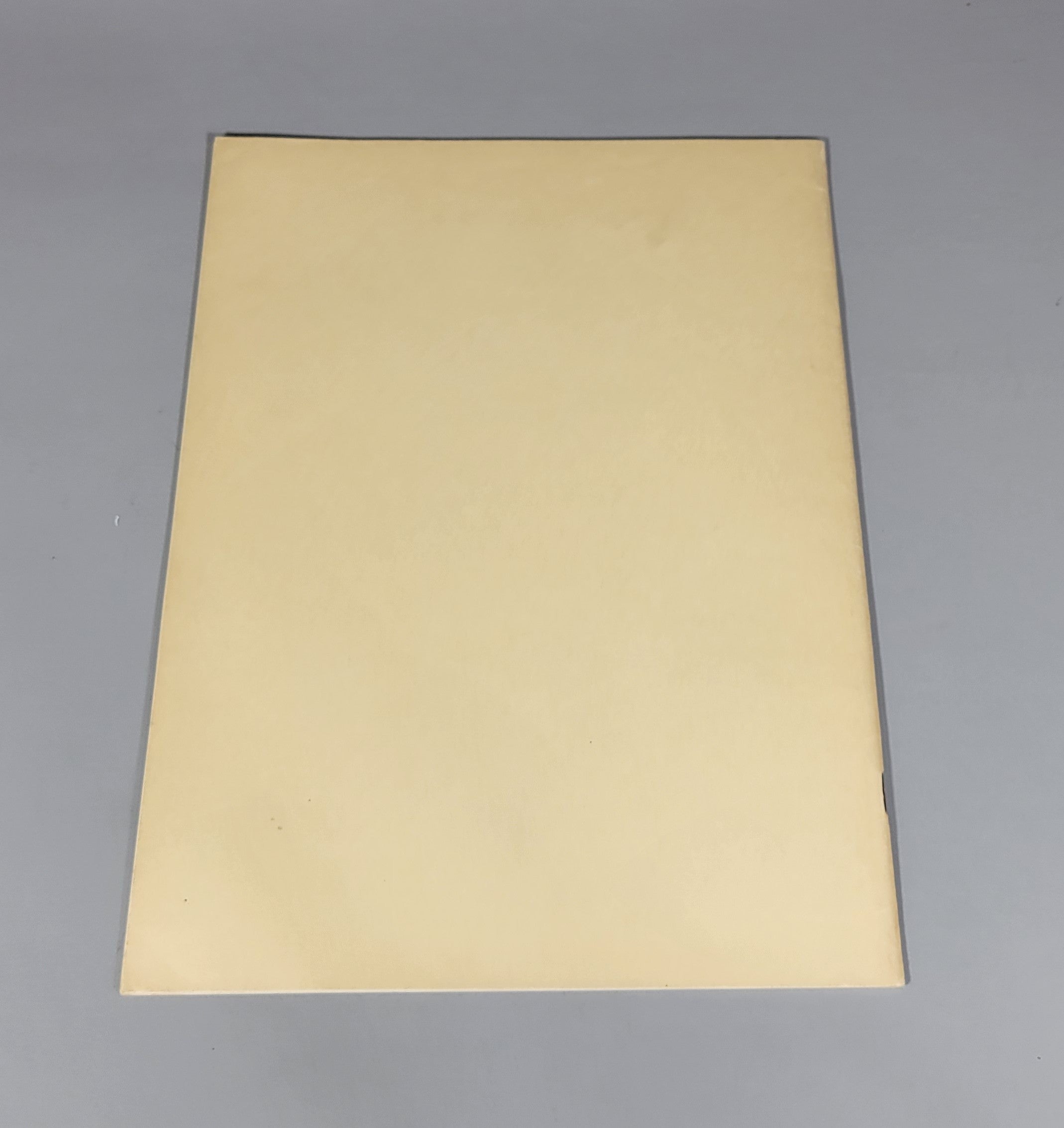 Ribbon & Fabric Trimmings 411 Original Woman's Institute Sewing Book 1920s