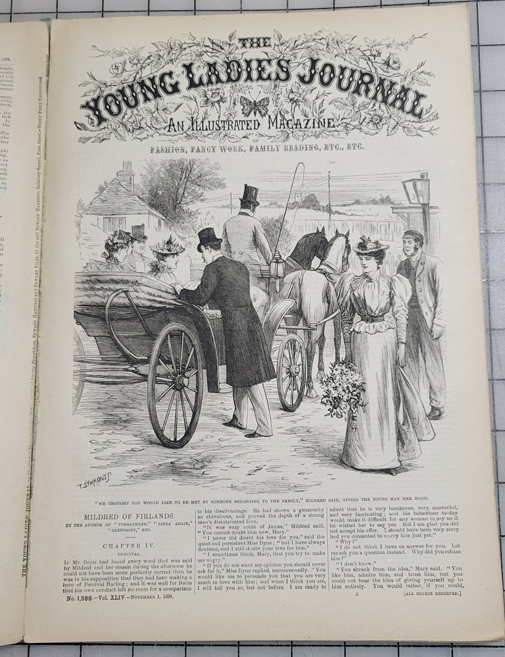 Young Ladies Journal 1894 Nov Antique Catalog Illustrated Fashion Victorian