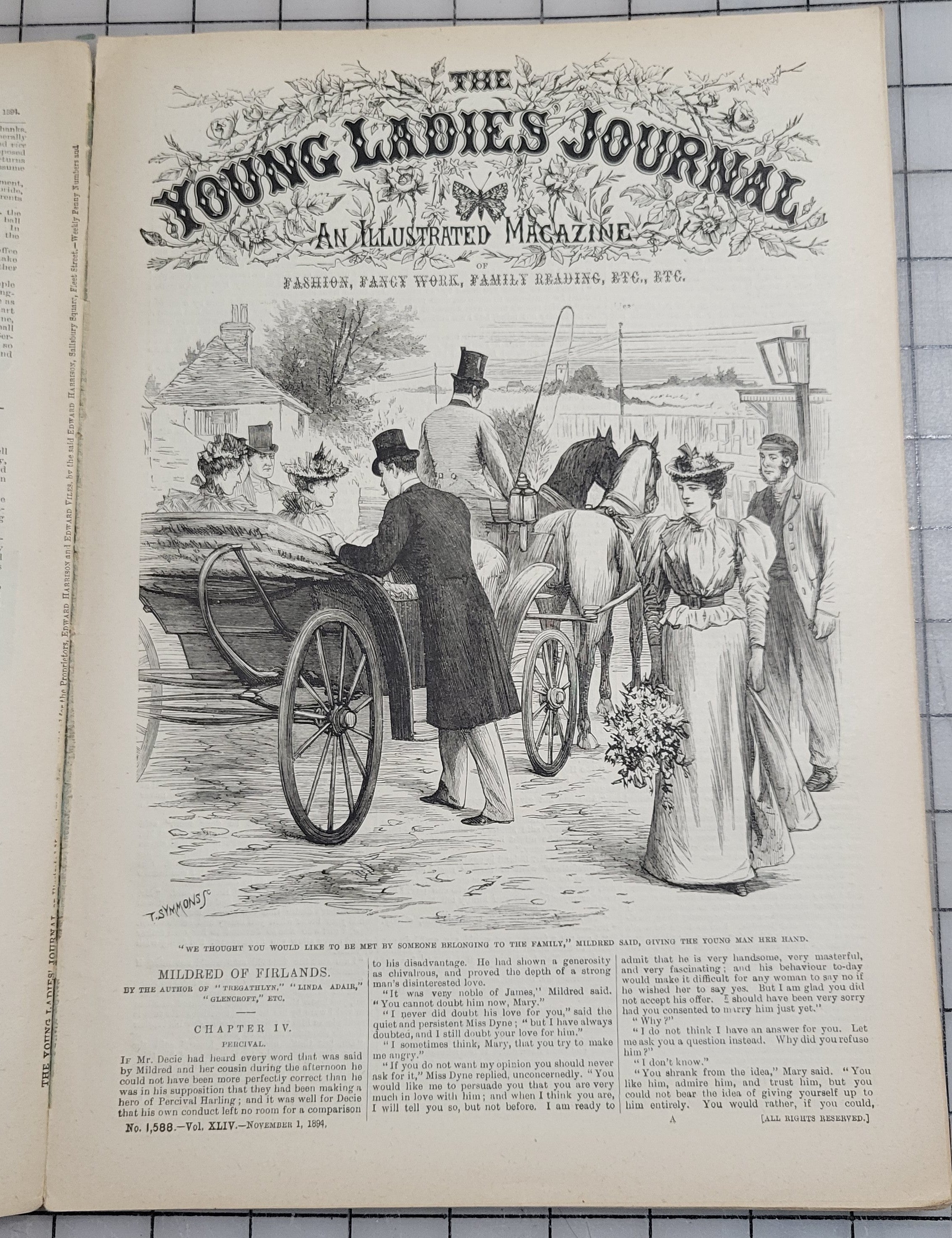 Young Ladies Journal 1894 Nov Antique Catalog Illustrated Fashion Victorian