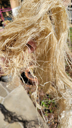 Unspun and Combed Raw Fiber (Abaca Uncombed Fiber)