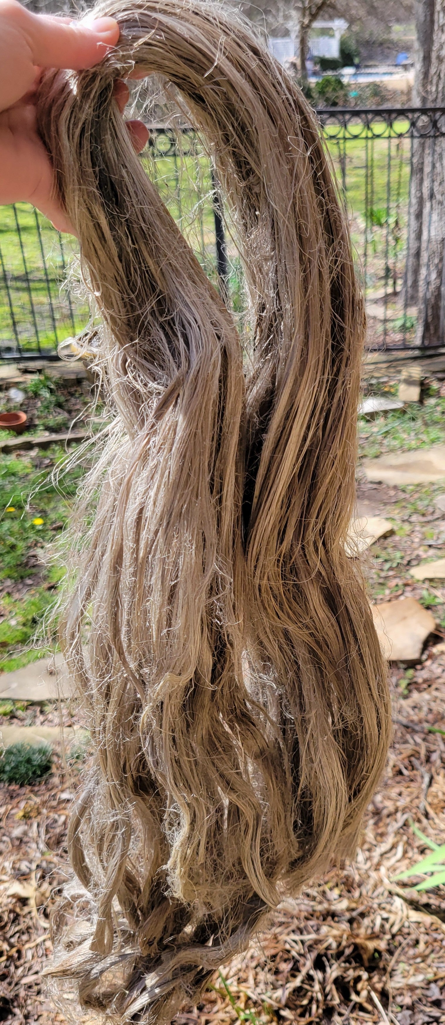 Agave Fiber Bundle. Natural Semi-Combed Fiber.