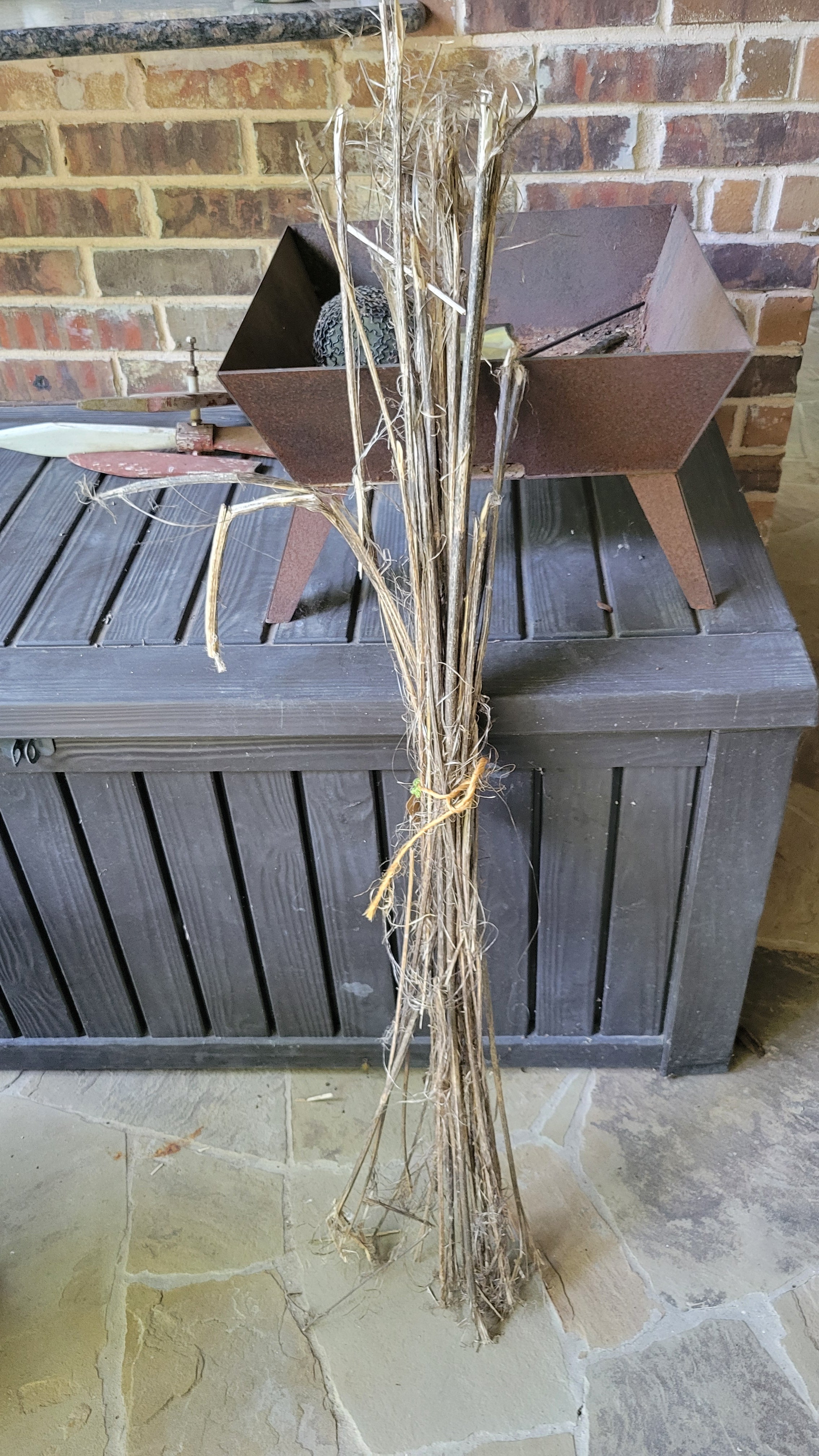 Hemp Stalk Bundle. Field Dew Retted. USA Grown.