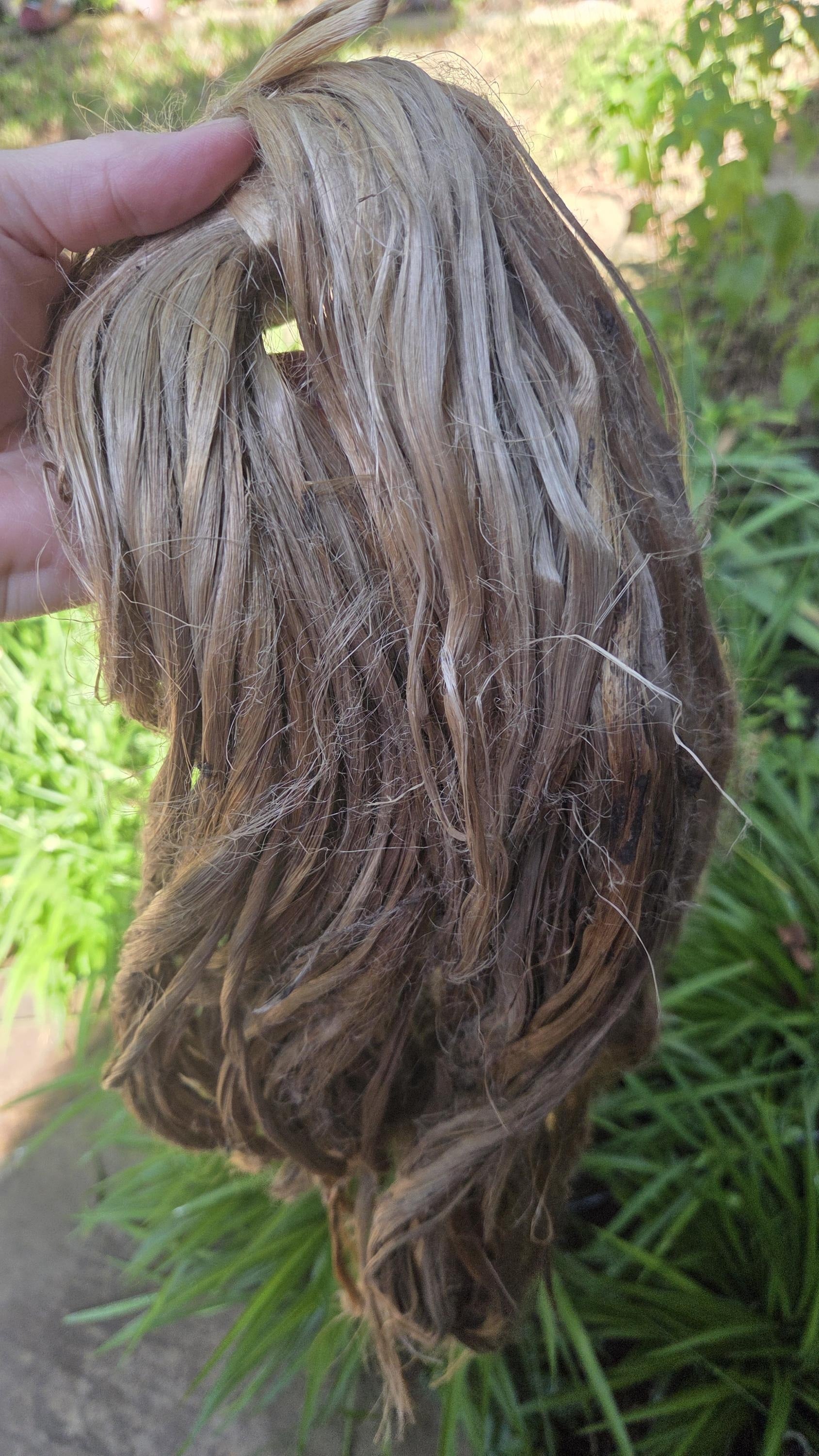 Nettle Long Fiber Bundle. Natural Semi-Combed Fiber. Raw.