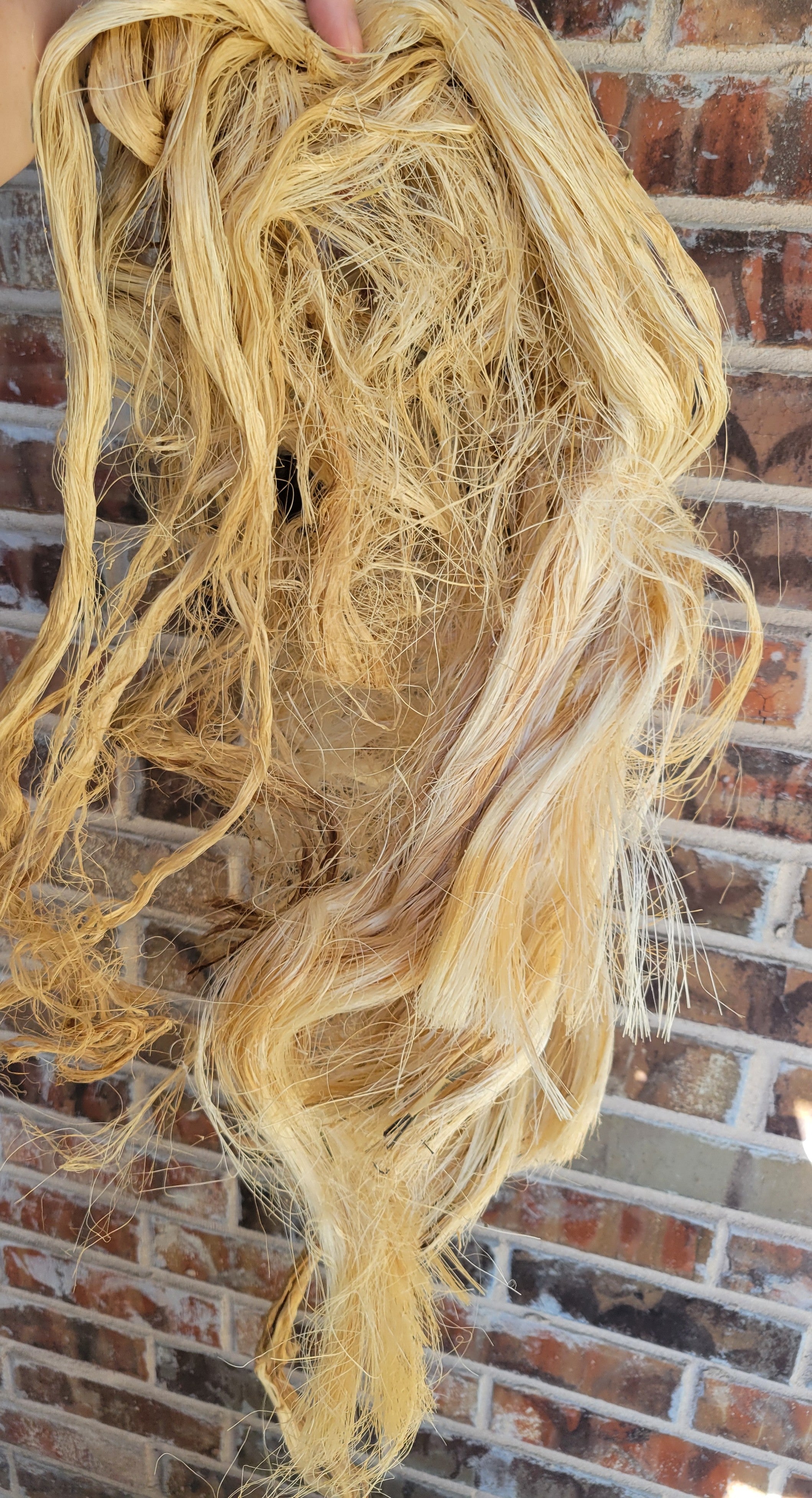 Sisal Long Fiber Bundle. Natural Un-Combed Fiber.