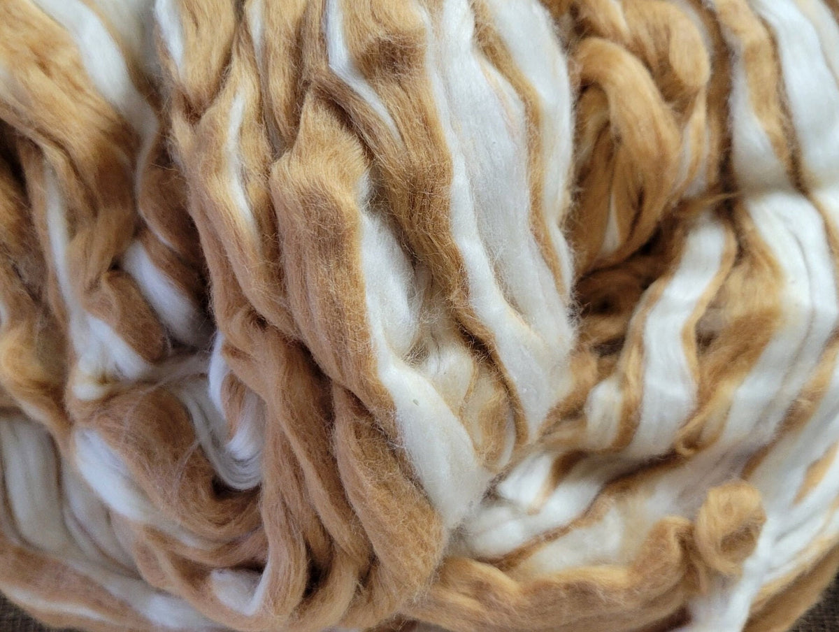 Brown + White Cotton Fiber Sliver, Combed, Natural USA Grown Color - 1 ounce