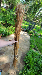 Hemp Stalk Bundle. Un-Retted. Cut Green and Dried. USA Grown.