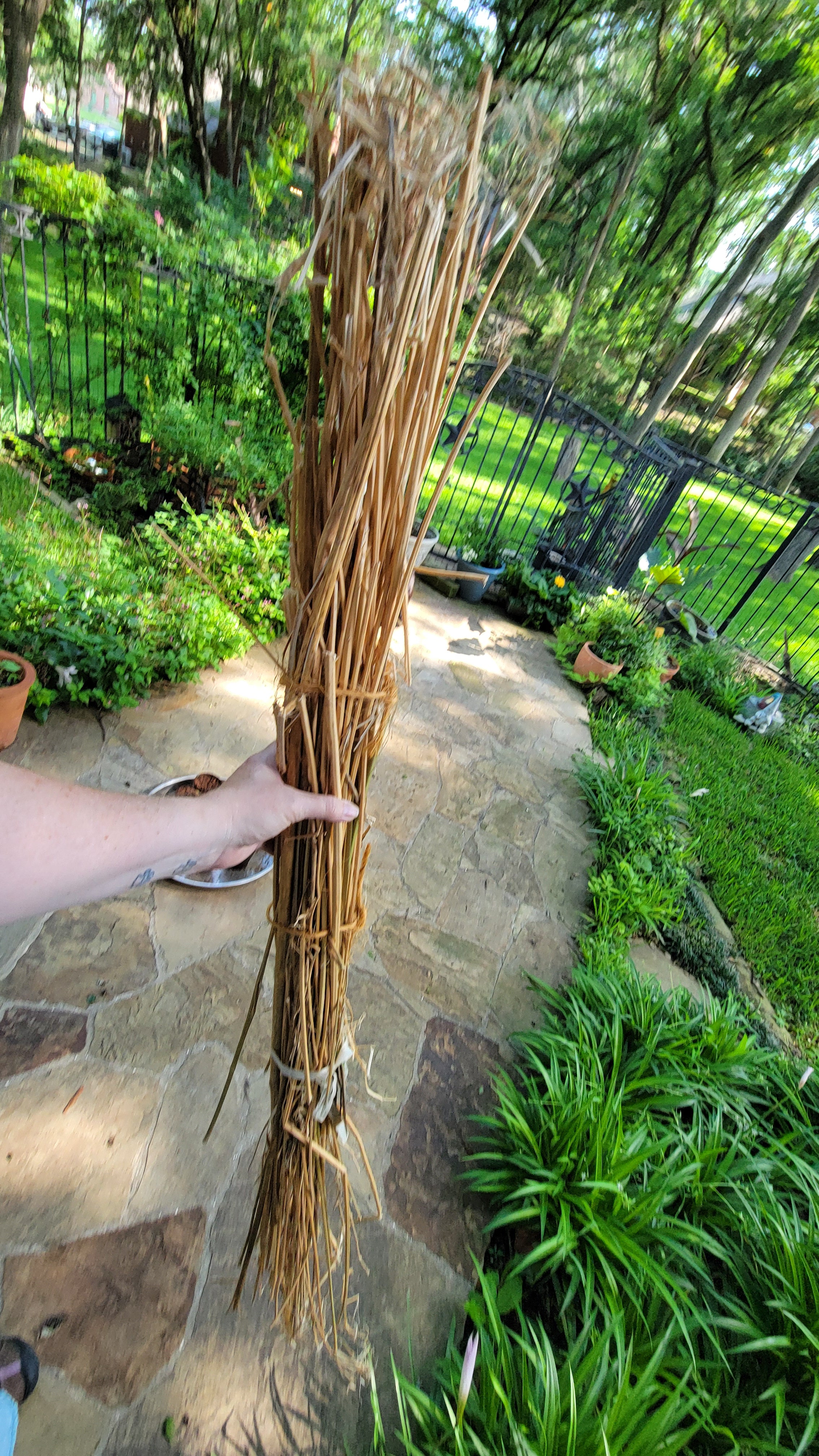 Hemp Stalk Bundle. Un-Retted. Cut Green and Dried. USA Grown.
