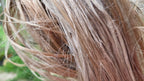 Fireweed Fiber Bundle. Natural Semi-Combed Fiber. Raw. (Chamerion angustifolium)