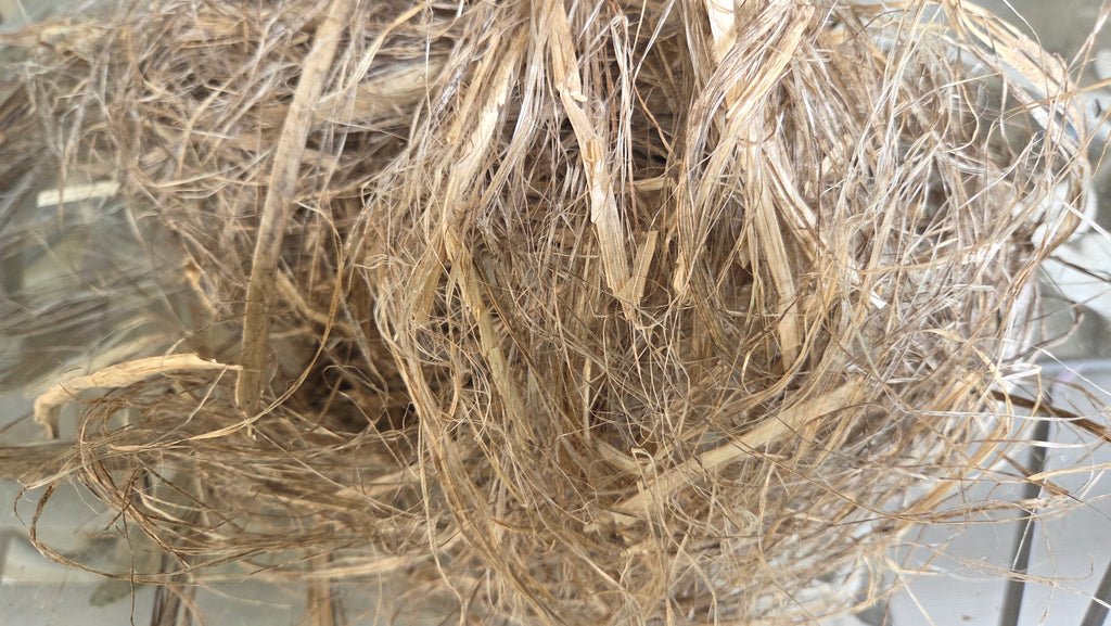 Hemp USA Grown - 3 Years Field Retted, Long Line Fiber Bundle - 1 Pound Bundle