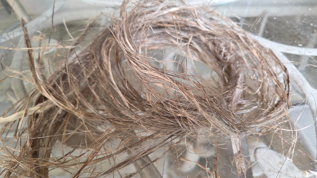 Hemp USA Grown - 3 Years Field Retted, Long Line Fiber Bundle - 1 Pound Bundle