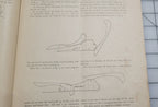 Original. The Voice of Fashion Pattern Book Fall 1886, Goldsberry, Doran, Nelson