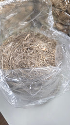 Hemp USA Grown - 3 Years Field Retted, Long Line Fiber Bundle - 1 Pound Bundle