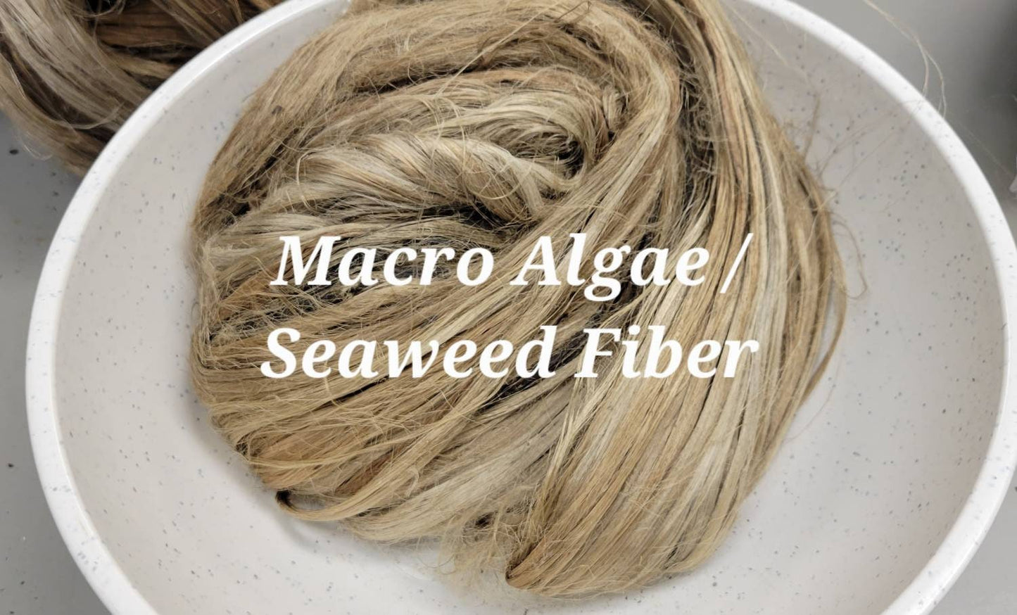 Seaweed / Macro Algae Long Fiber Bundle. 100% Natural Fiber.